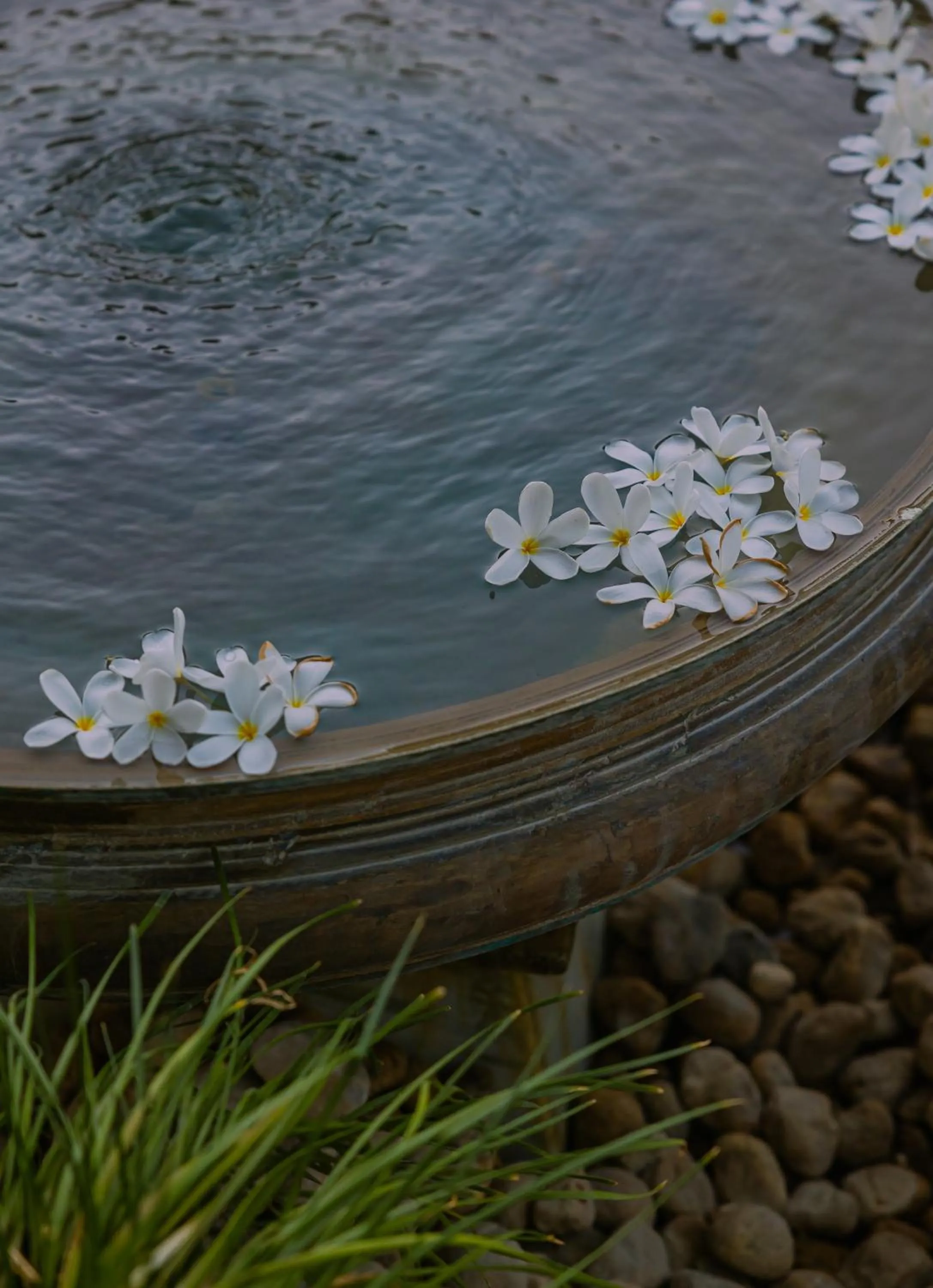 Garden in The Rawla Narlai - A Luxury Heritage Stay in Leopard Country