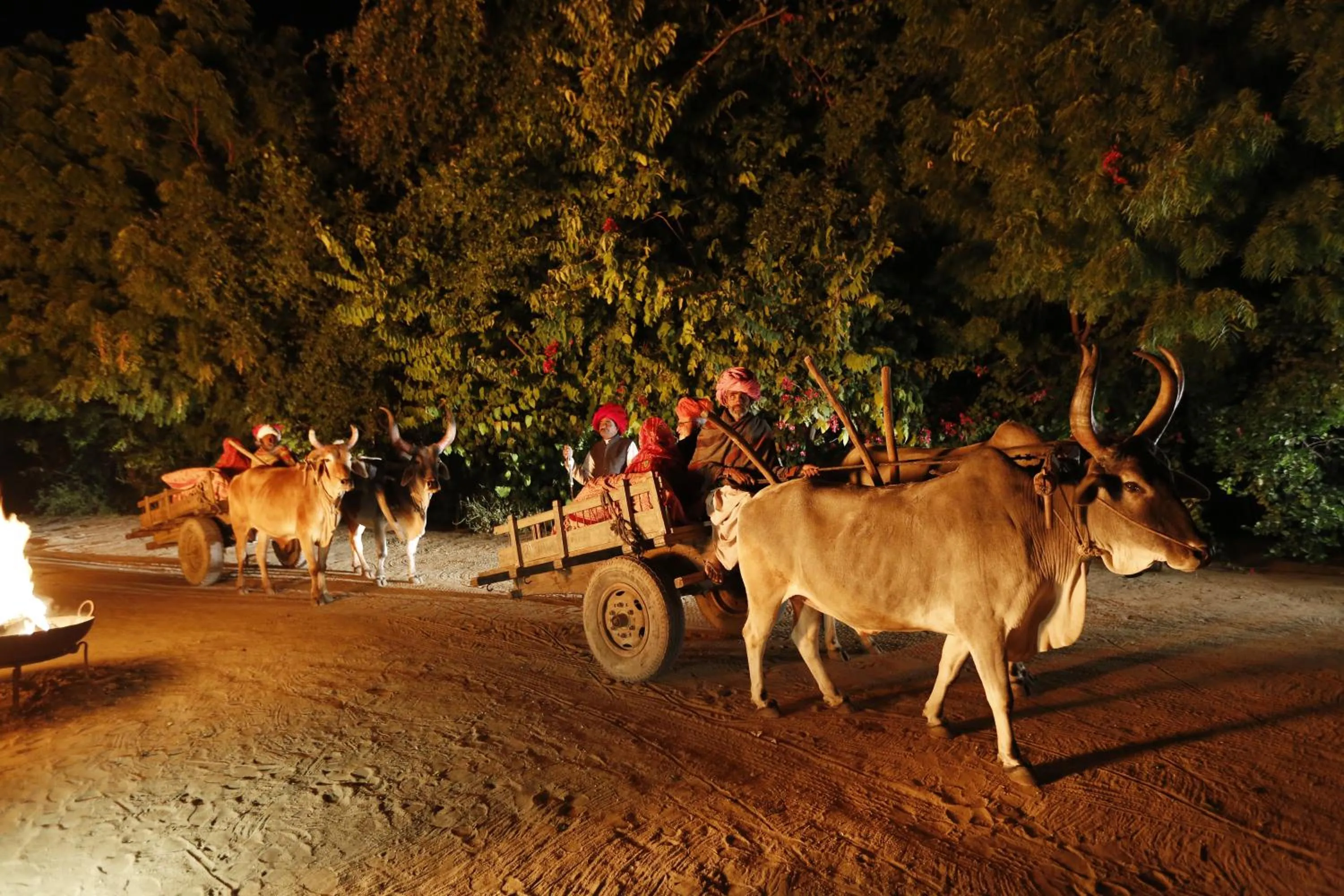 Nearby landmark in The Rawla Narlai - A Luxury Heritage Stay in Leopard Country