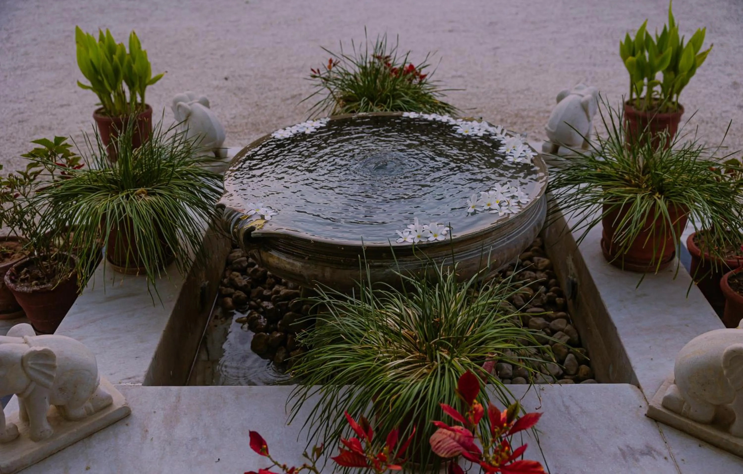 Garden view in The Rawla Narlai - A Luxury Heritage Stay in Leopard Country