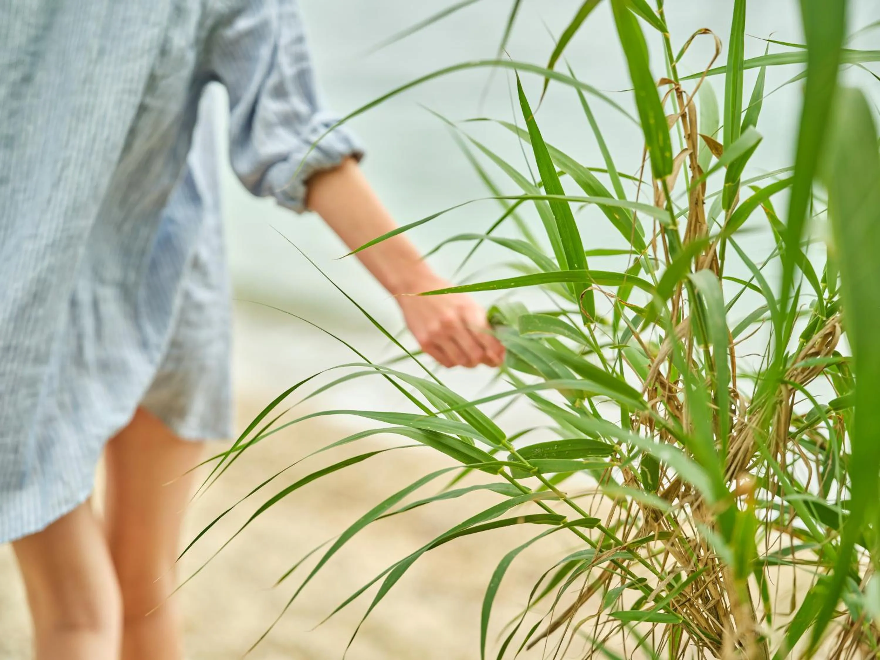 Natural landscape in Avali, Mar-Bella Collection