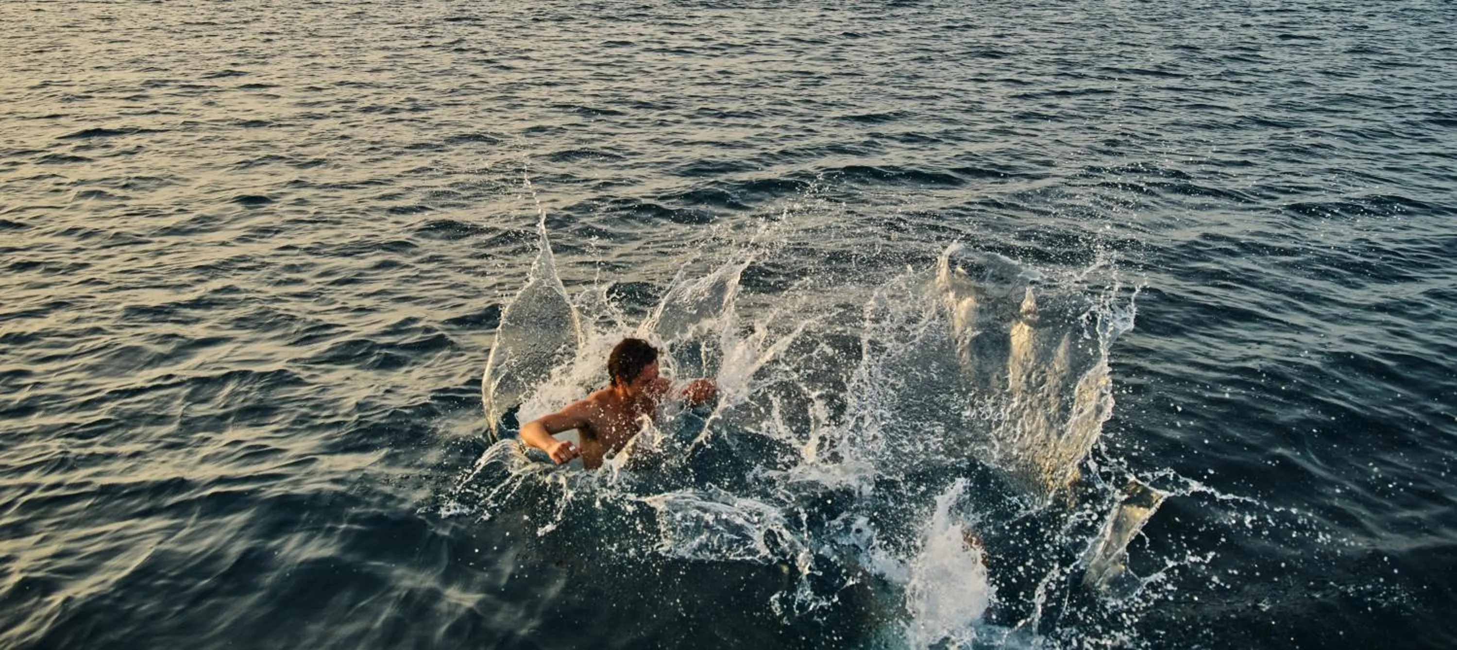 Natural landscape in Avali, Mar-Bella Collection