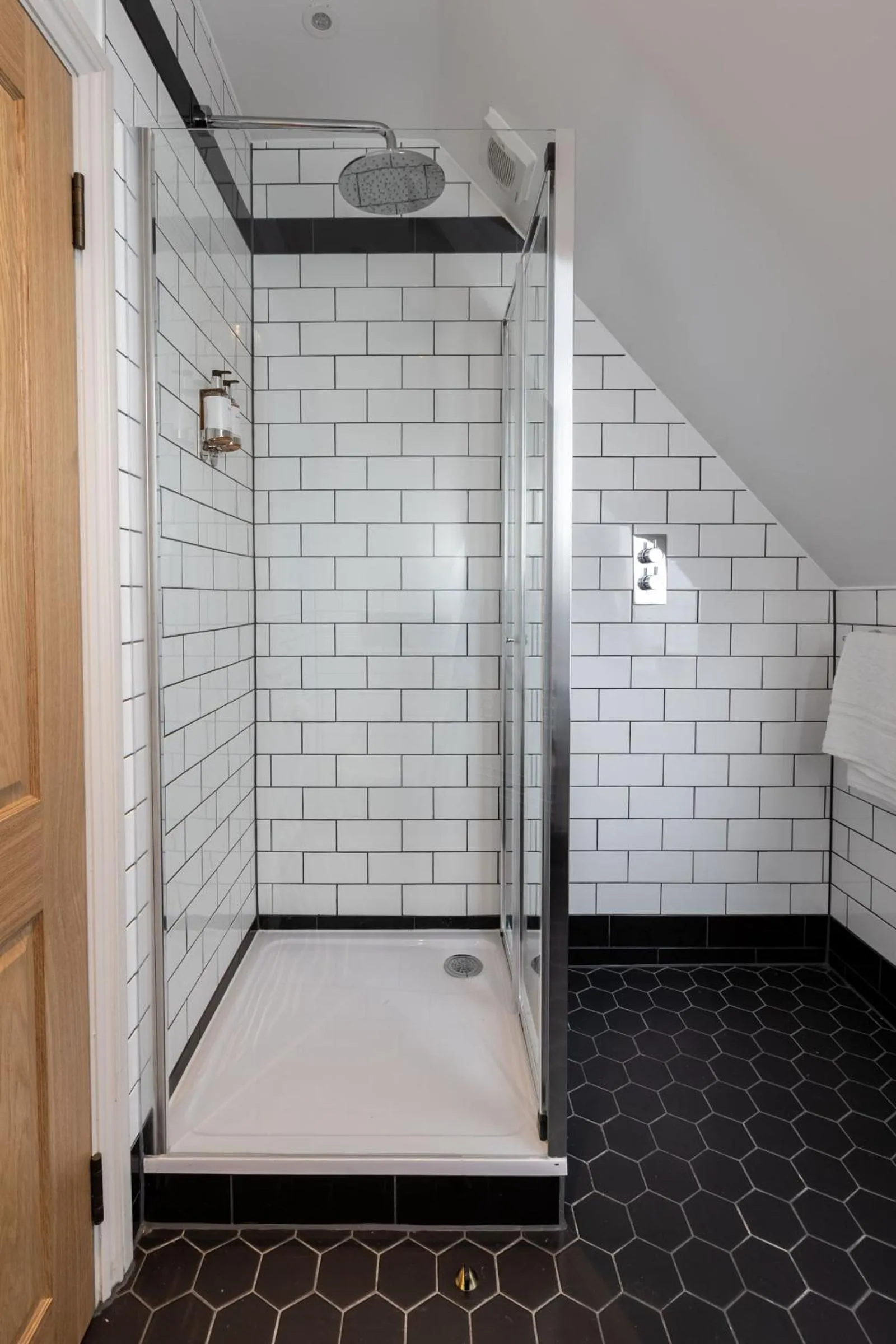 Shower in The Red Lion Hotel