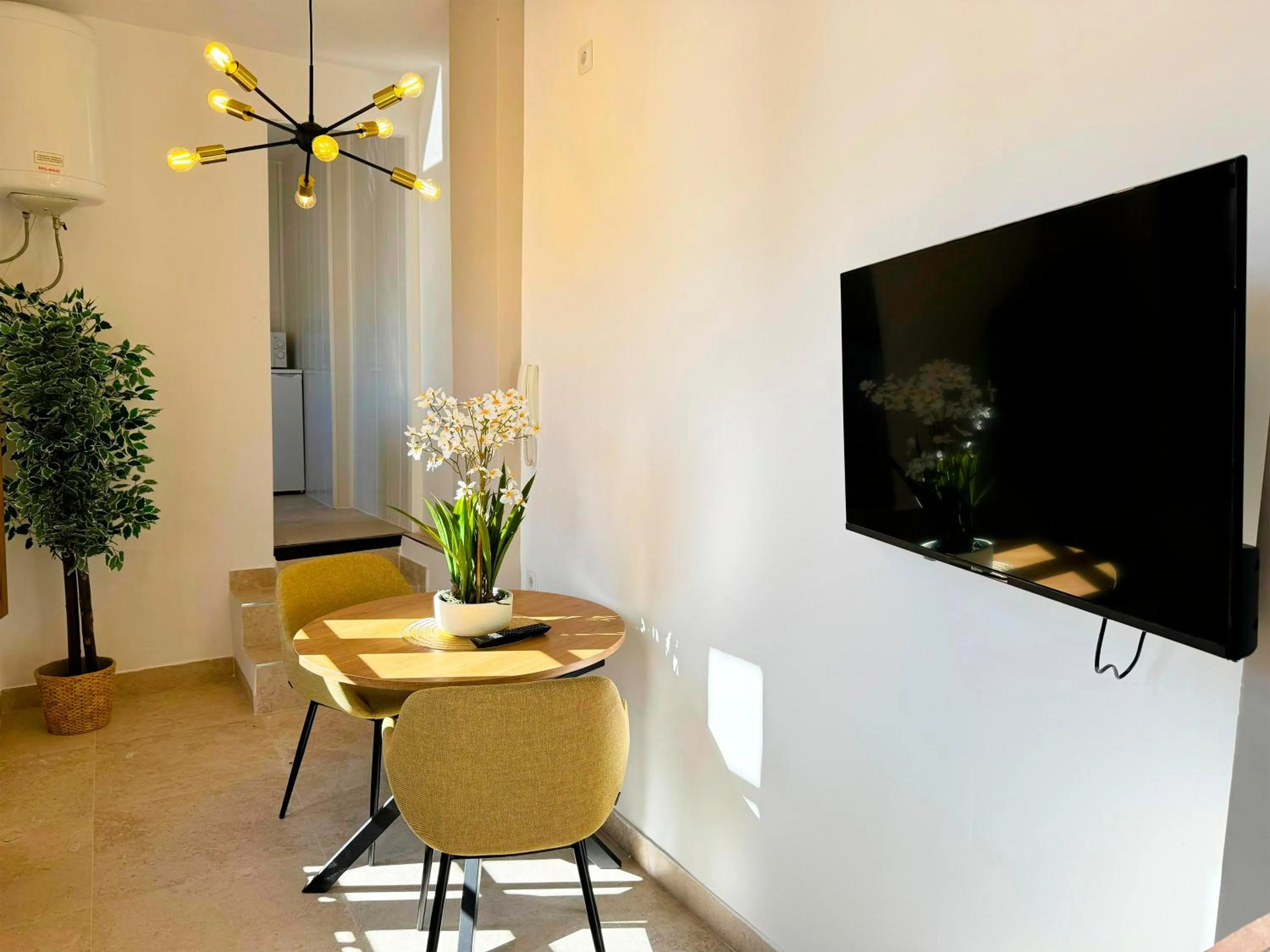 TV and multimedia in Apartamentos Plaza San Agustín 3000