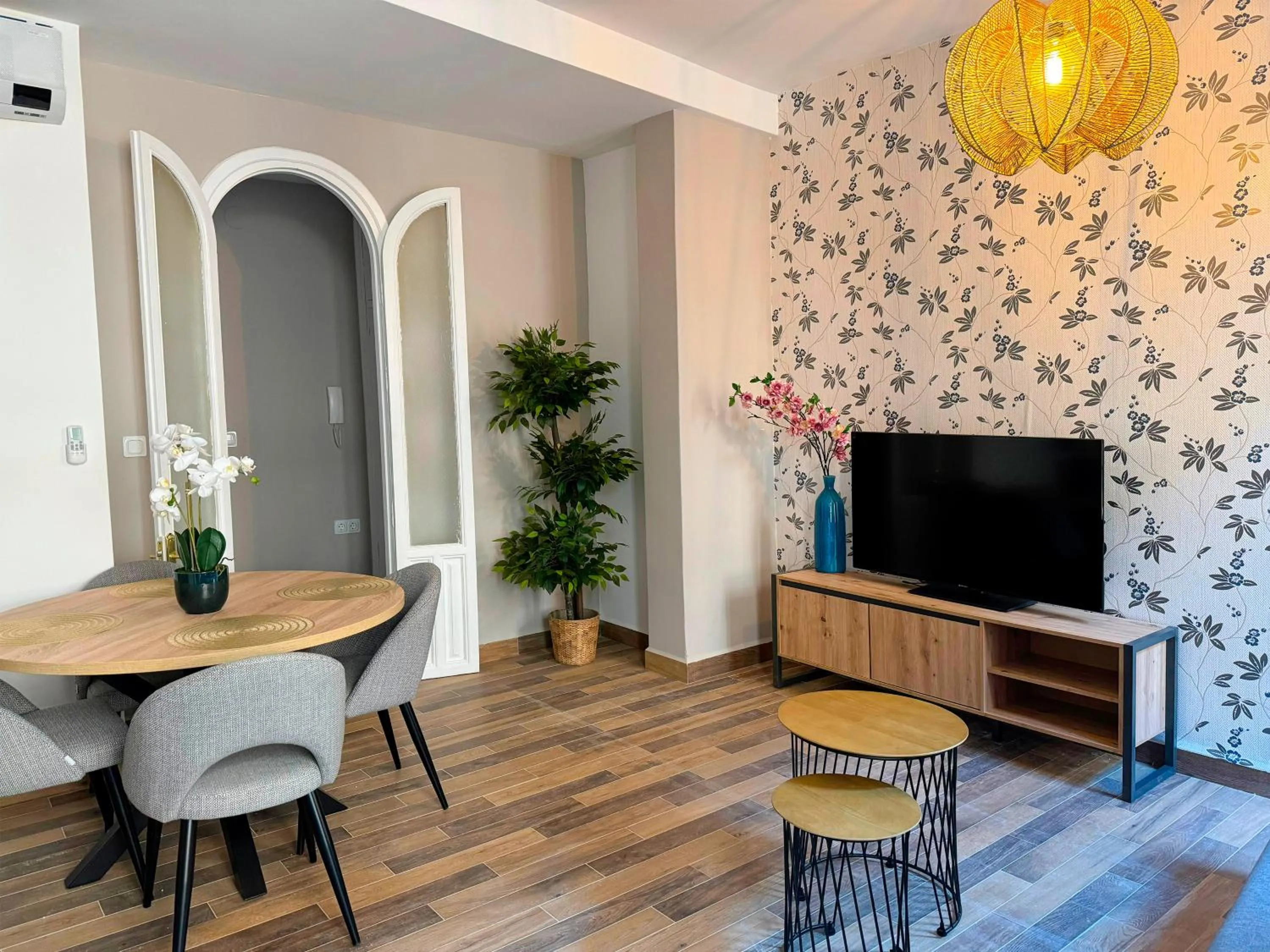 TV and multimedia in Apartamentos Plaza San Agustín 3000