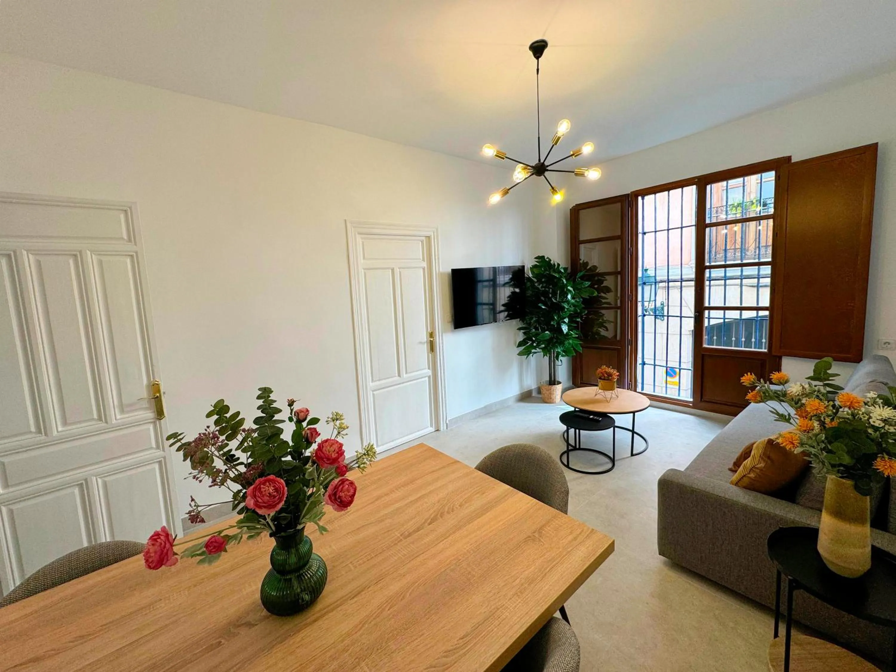 TV and multimedia in Apartamentos Plaza San Agustín 3000