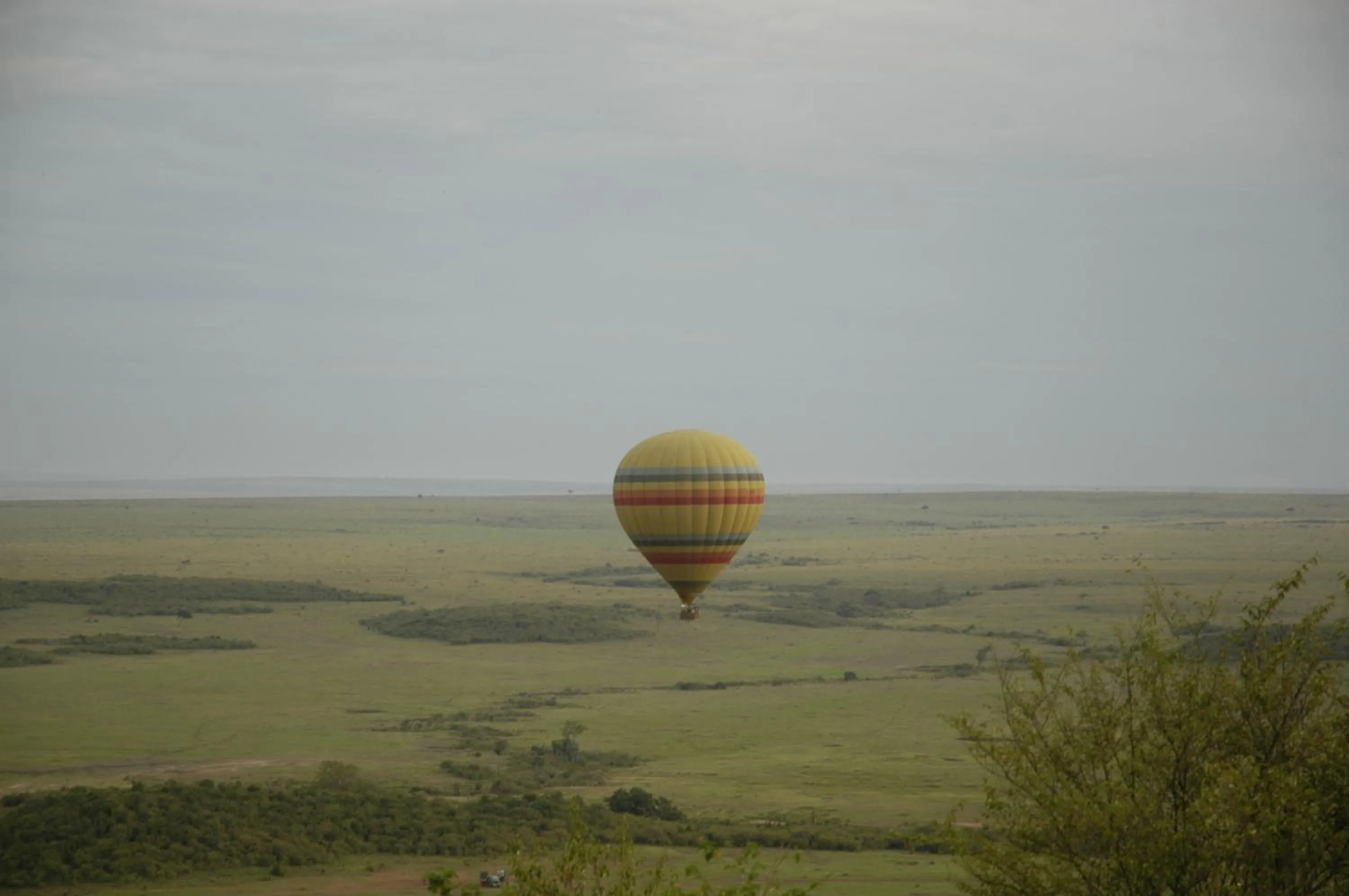 Other in Mara Serena Safari Lodge