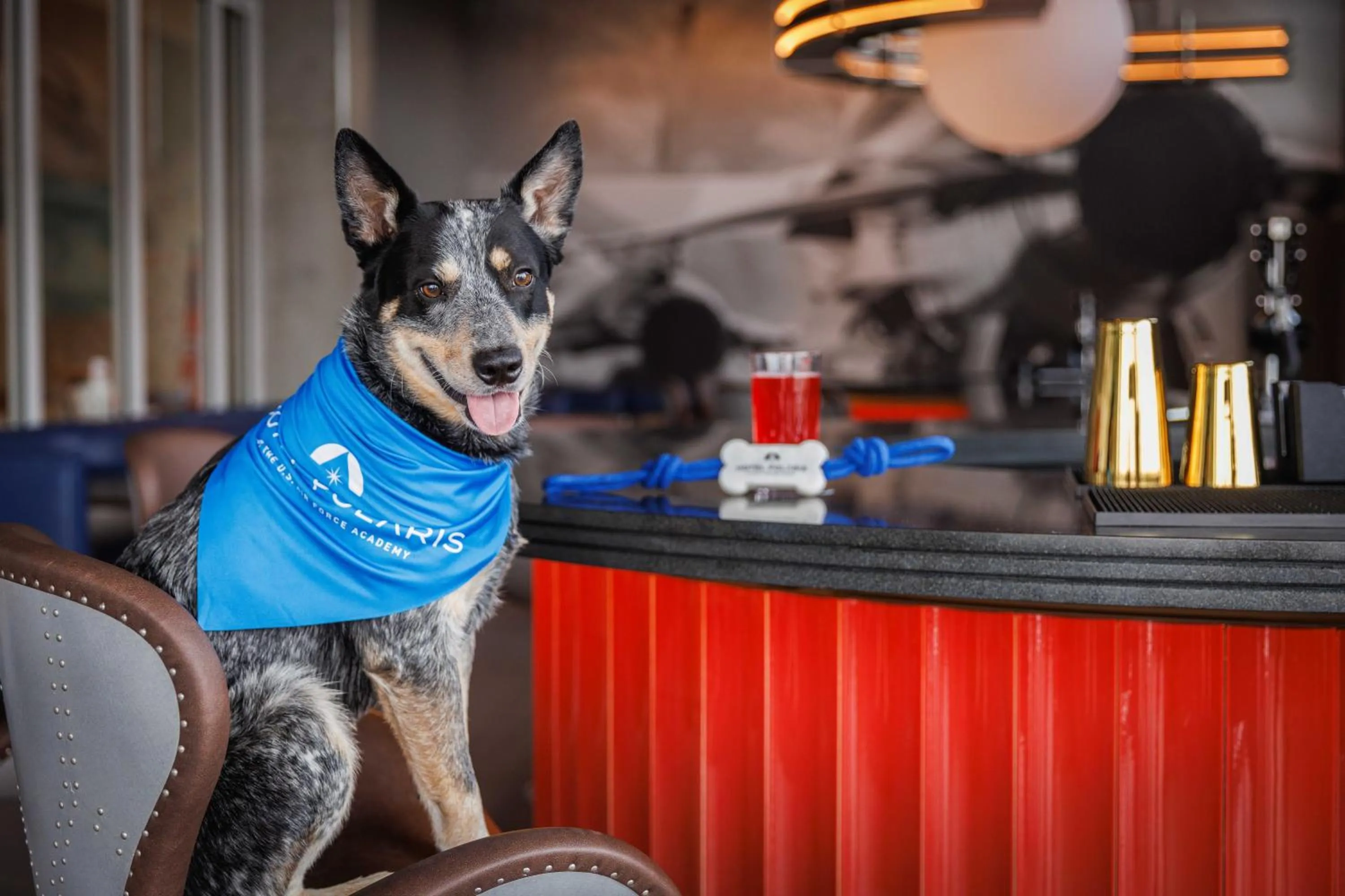 Restaurant/places to eat in Hotel Polaris