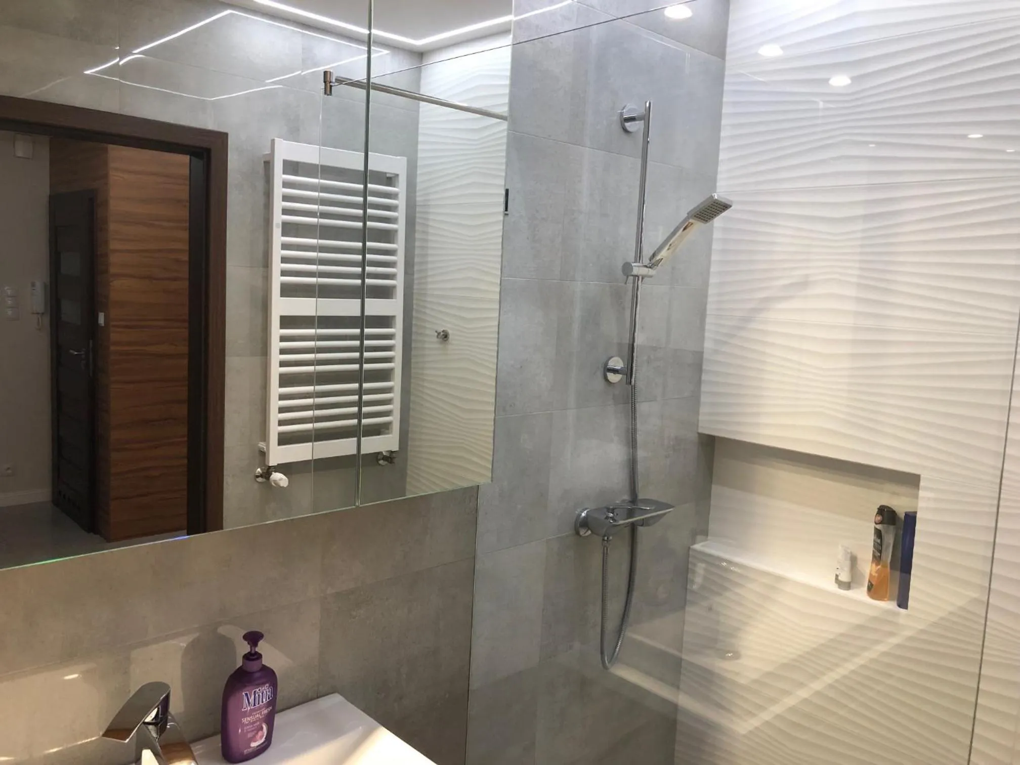 Shower in Hotel Kamienica