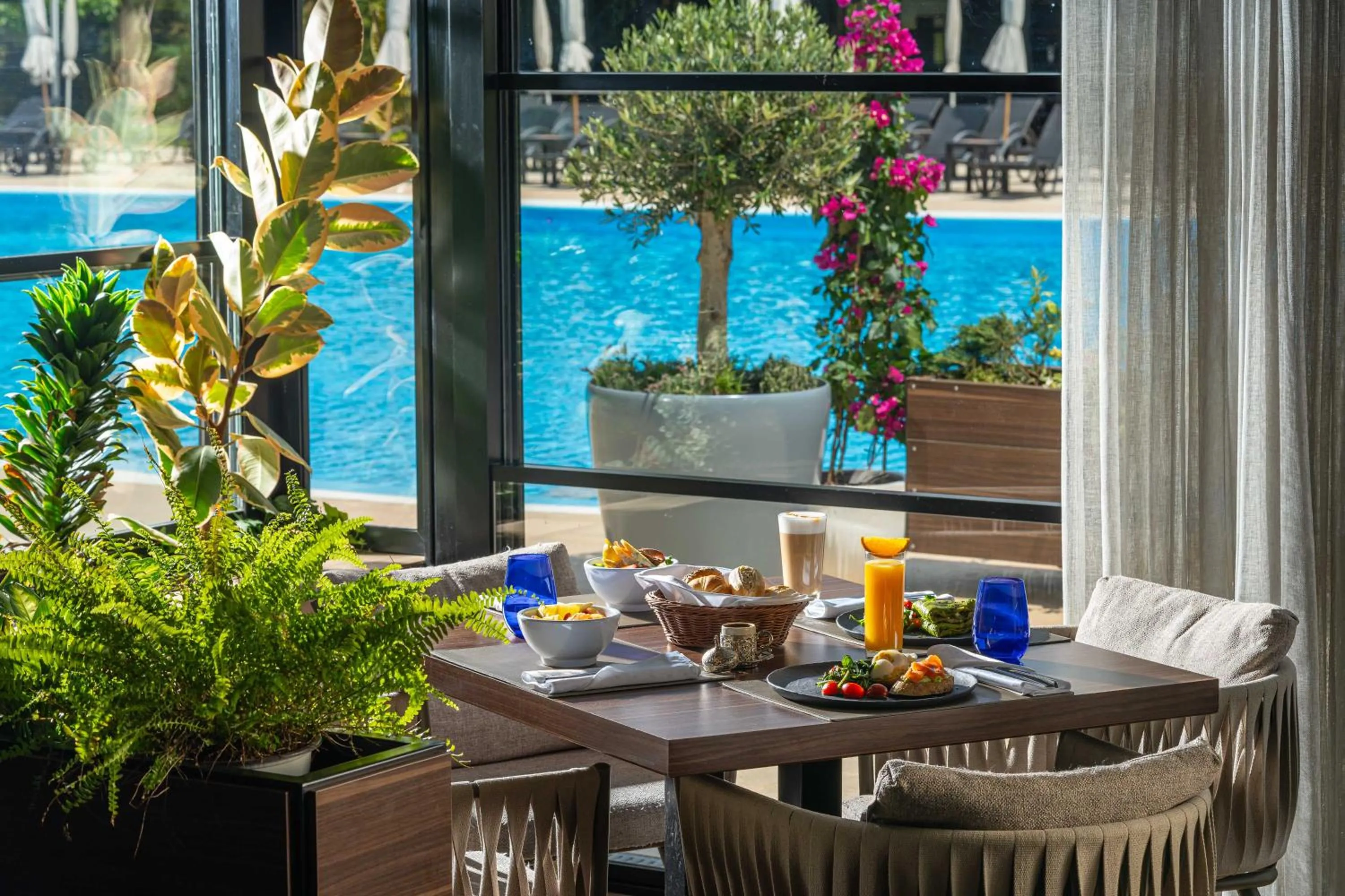 Food and drinks in Sky Blue Hotel & Spa