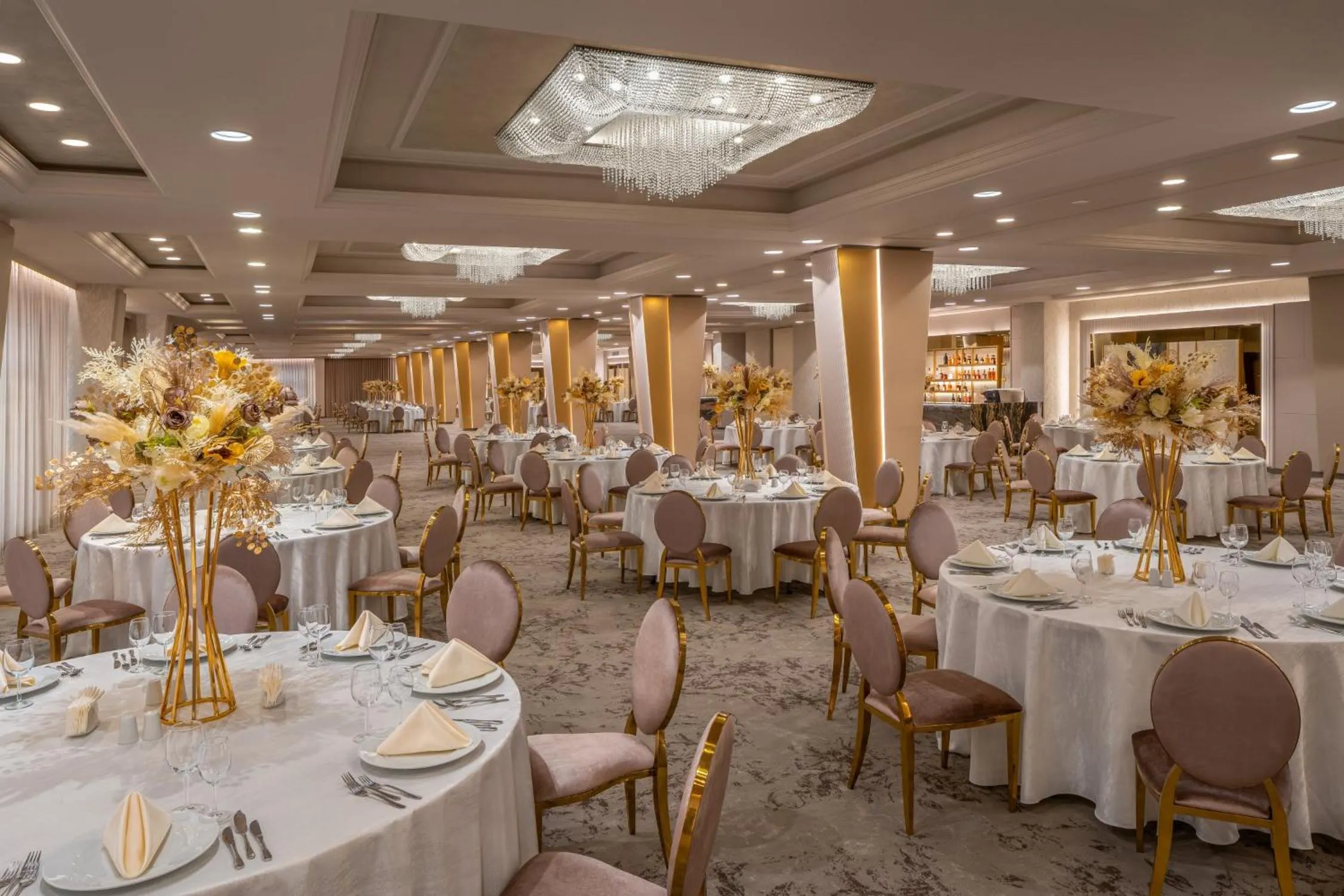 Banquet/Function facilities in Sky Blue Hotel & Spa