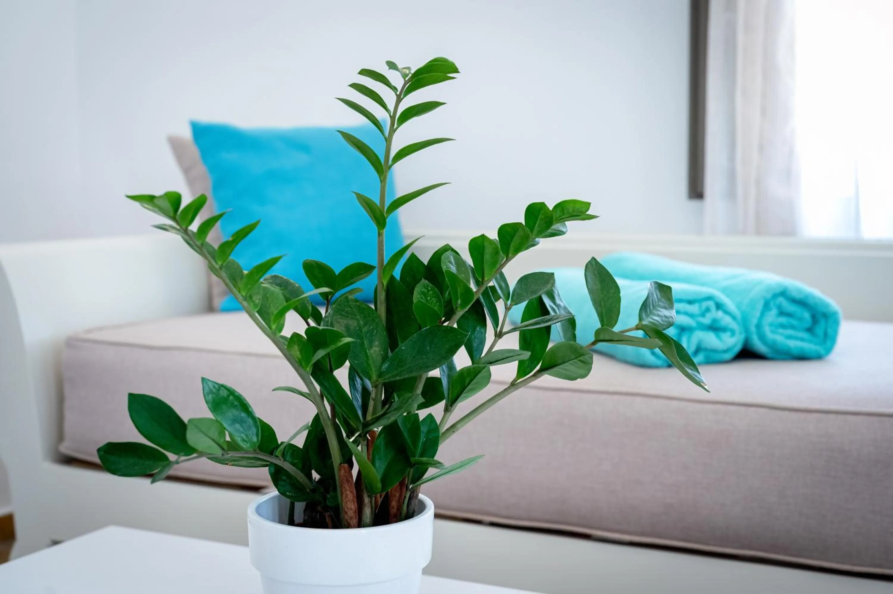 Decorative detail, Bed in En Plo Boutique Suites
