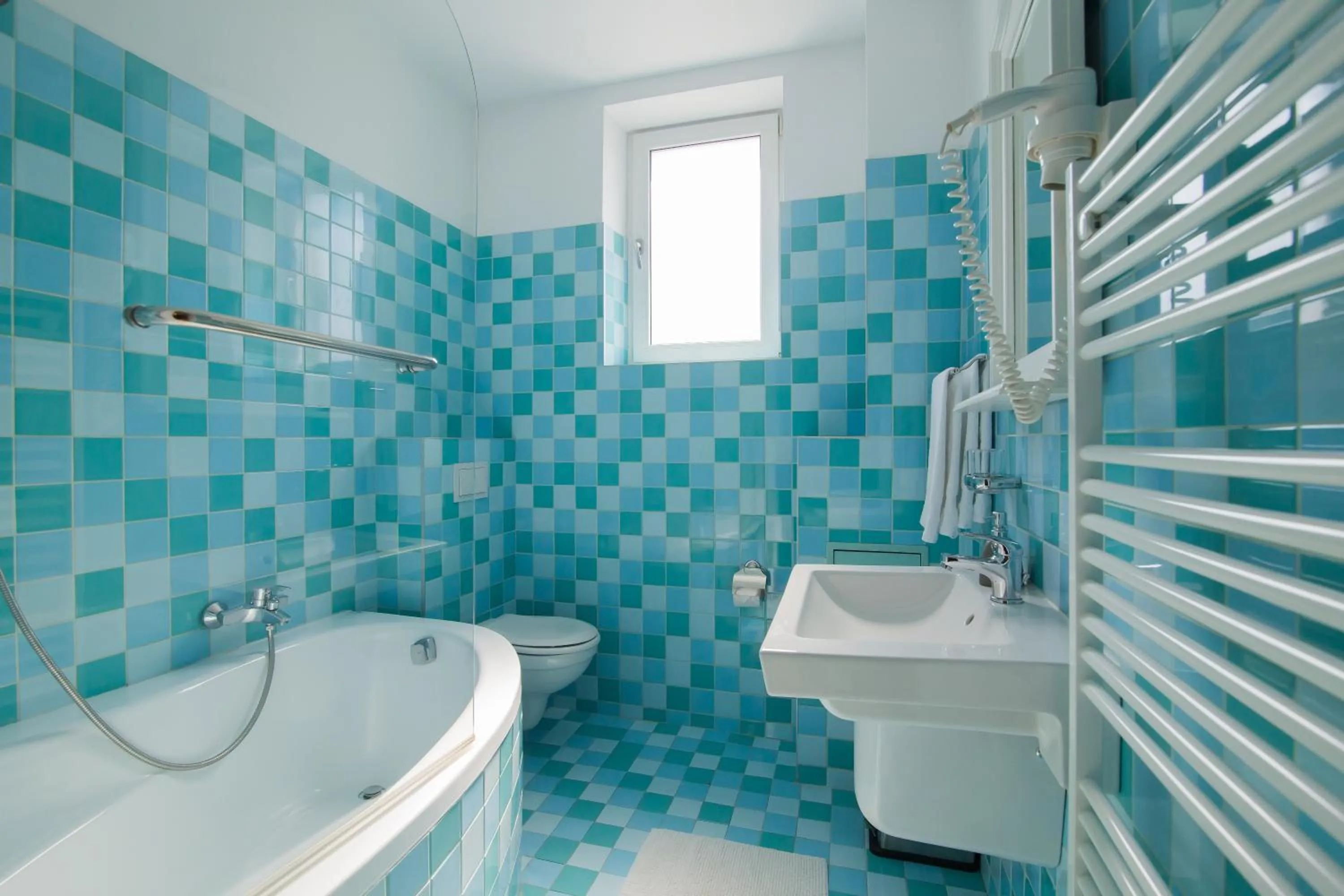 Toilet in Vila Sibiu