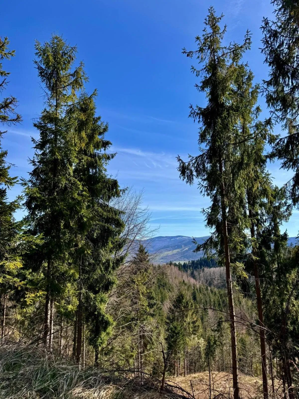 Nearby landmark in Hotel Zacisze