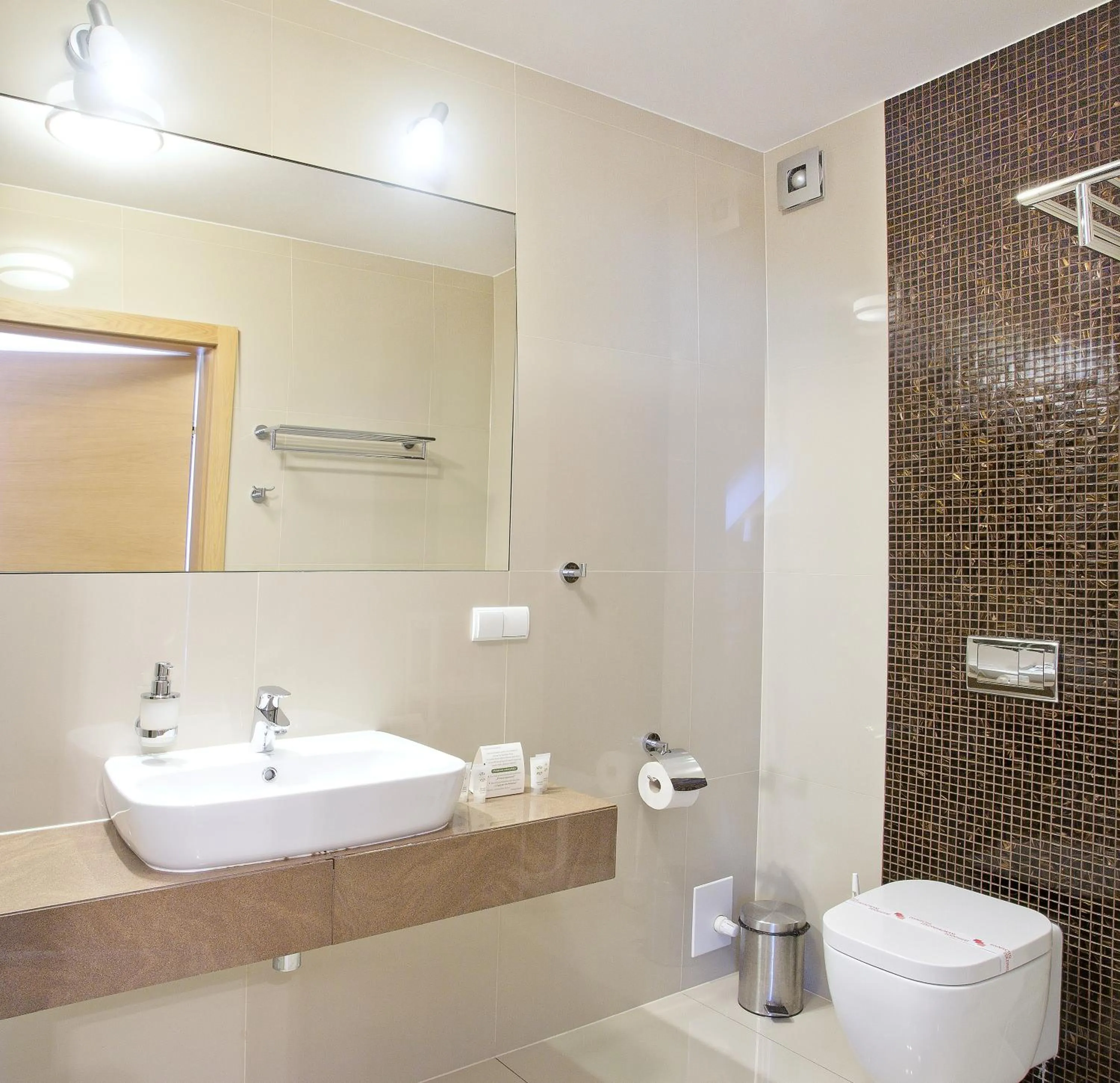 Shower in Hotel Zacisze