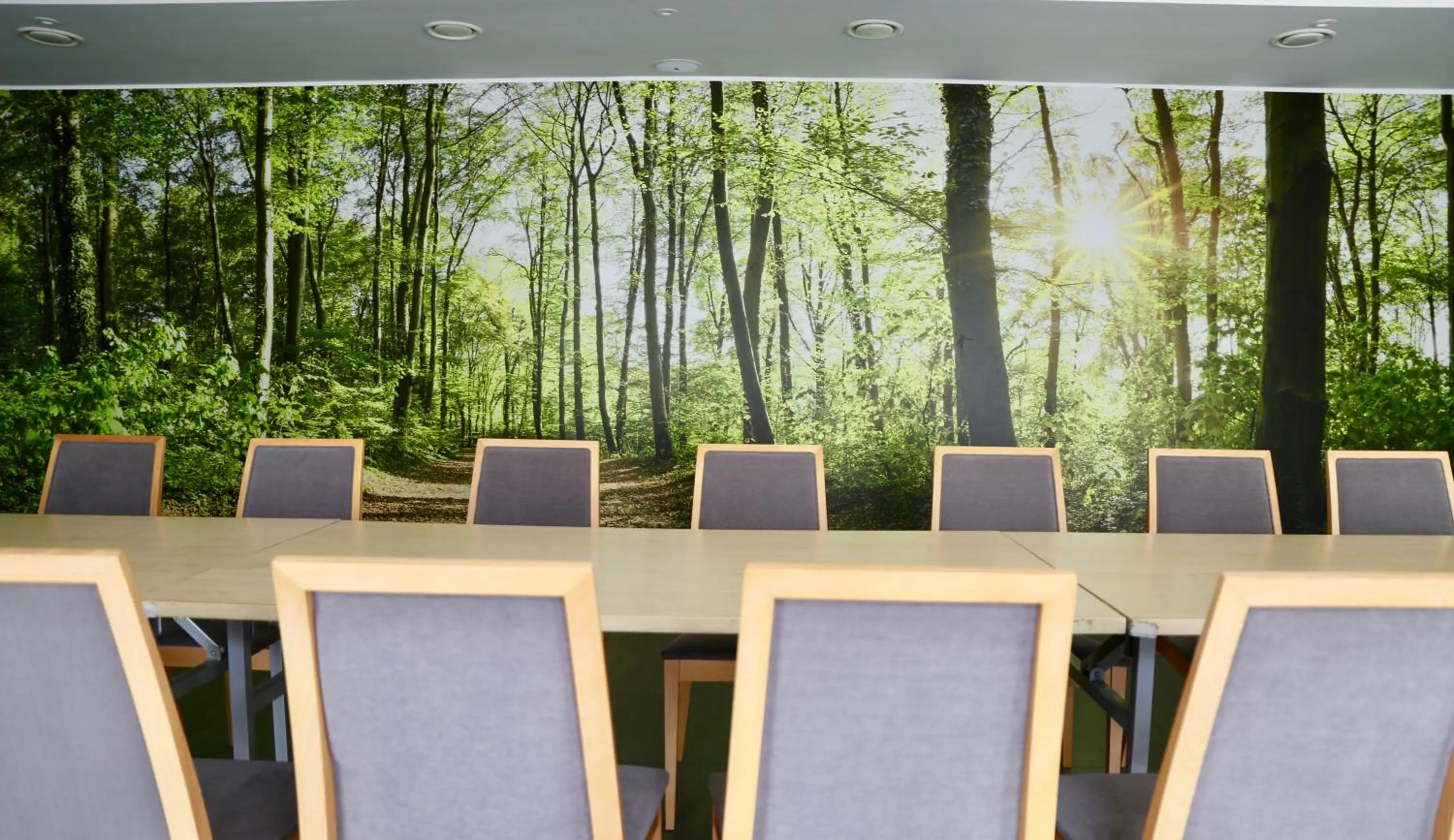 Meeting/conference room in Hotel Zacisze