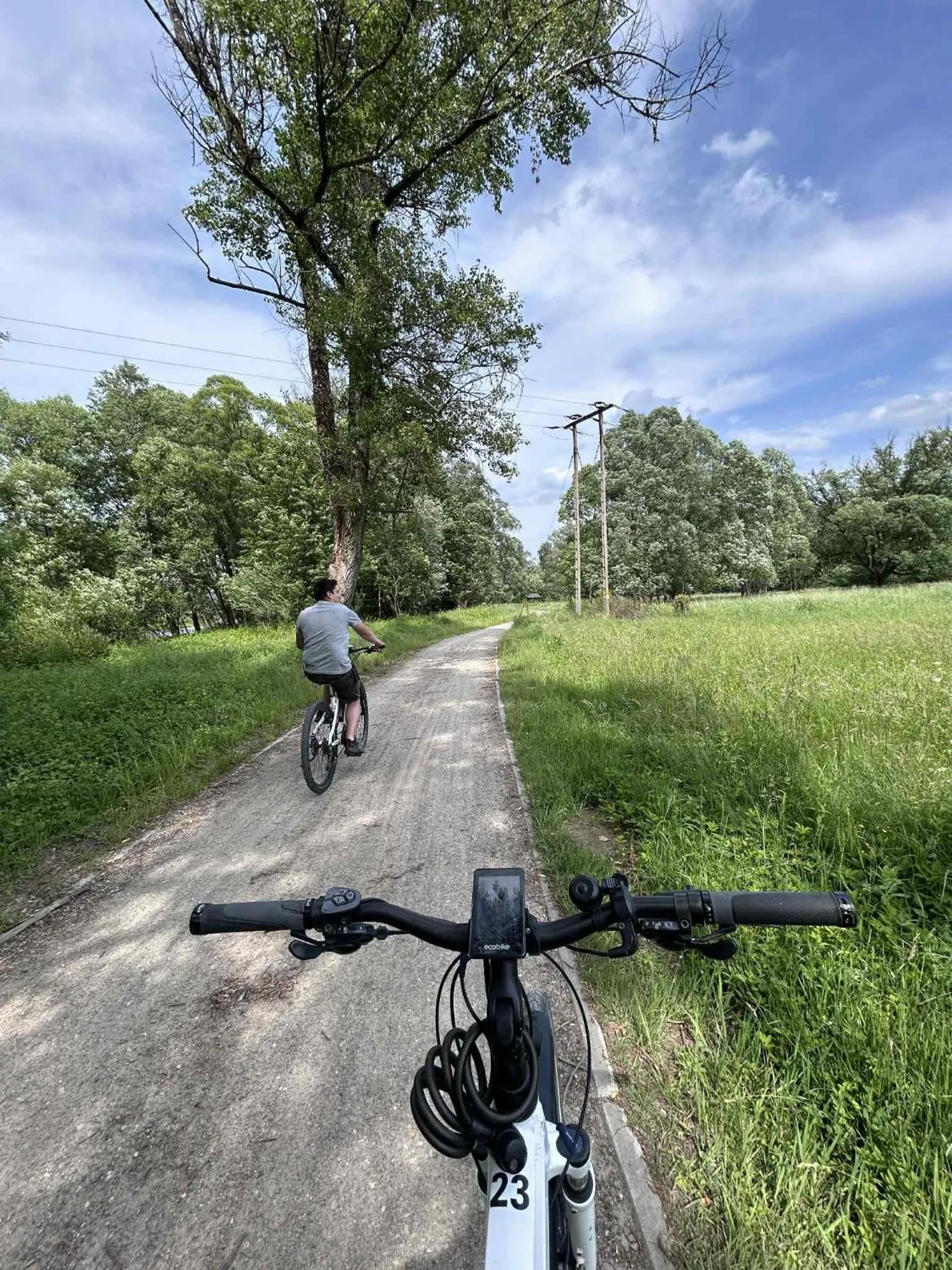 Cycling in Hotel Zacisze