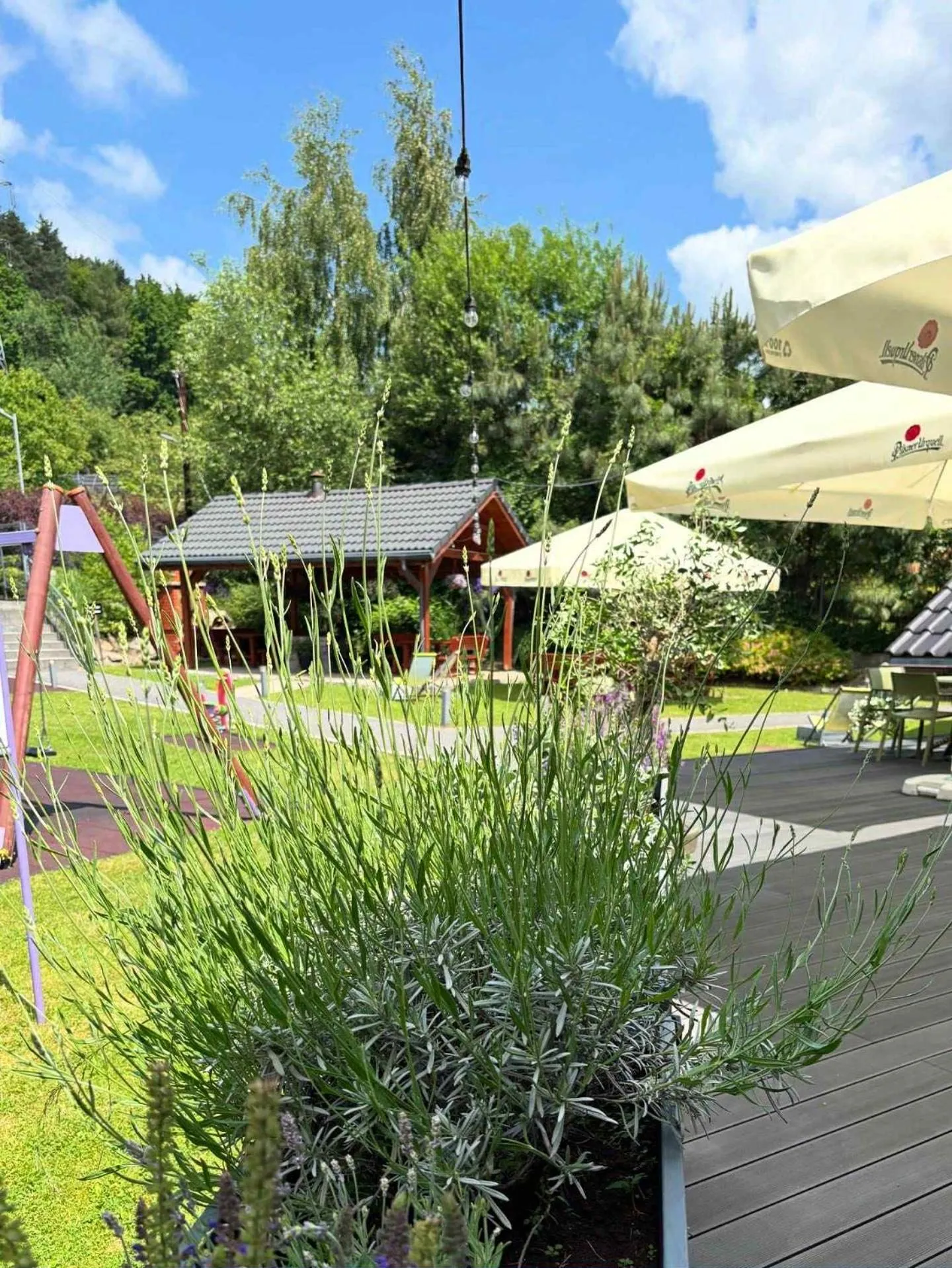 Restaurant/places to eat in Hotel Zacisze