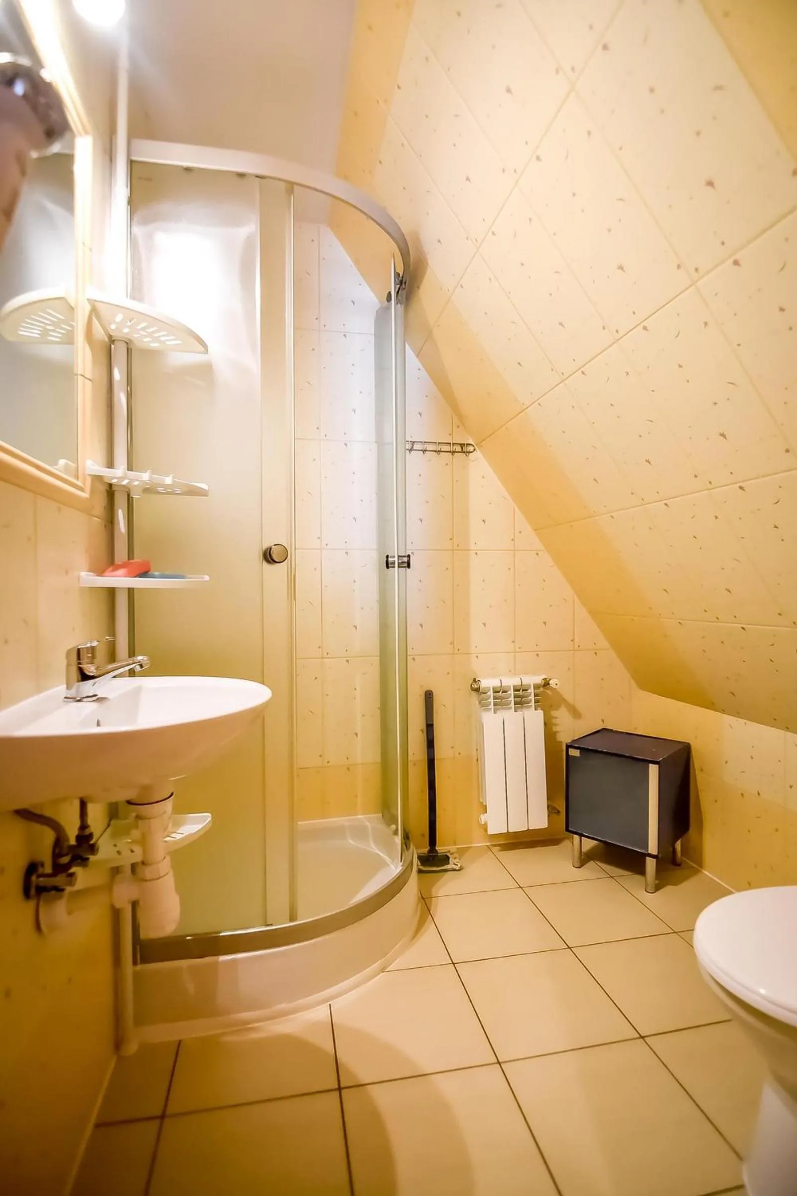 Shower in Ciukrowa Chatka Sauna & Jacuzzi