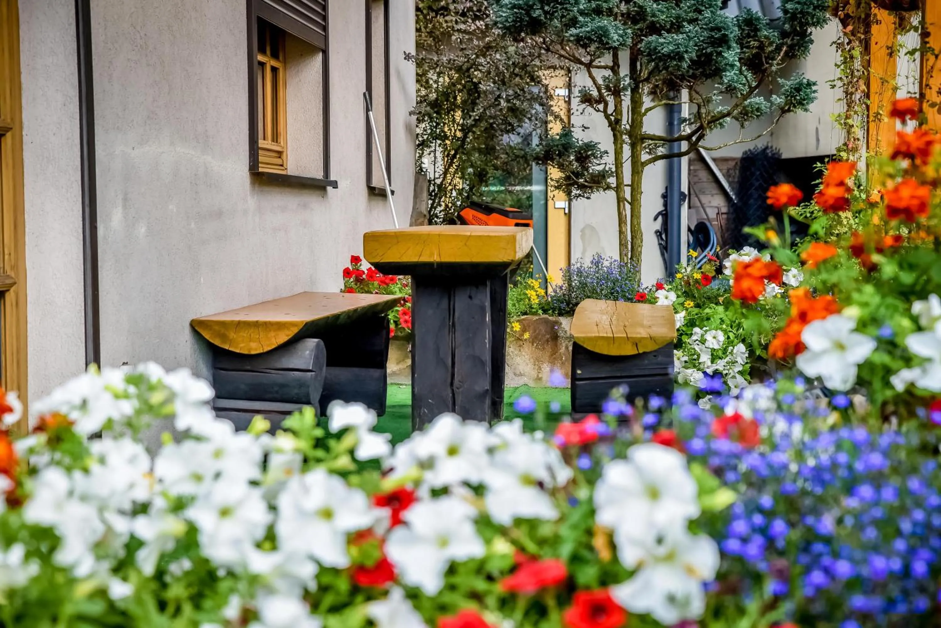 Garden in Ciukrowa Chatka Sauna & Jacuzzi
