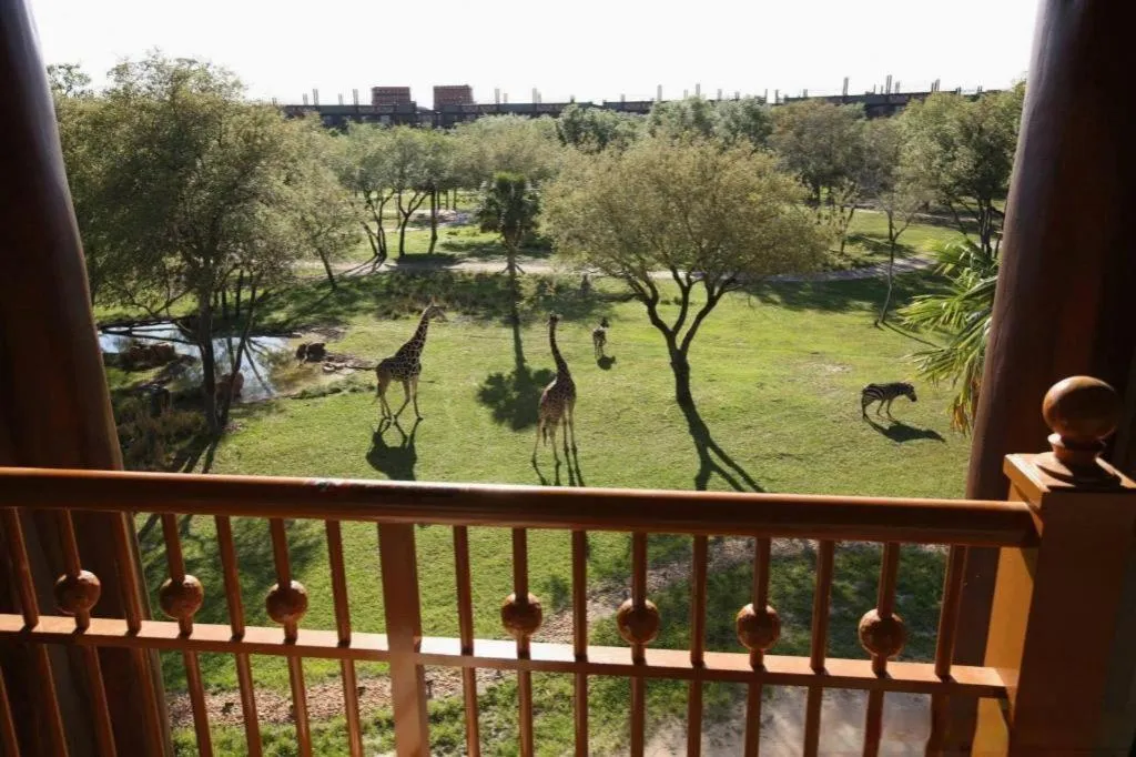 Disney's Animal Kingdom Lodge