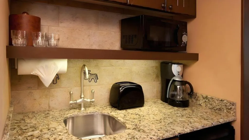 Disney's Animal Kingdom Lodge