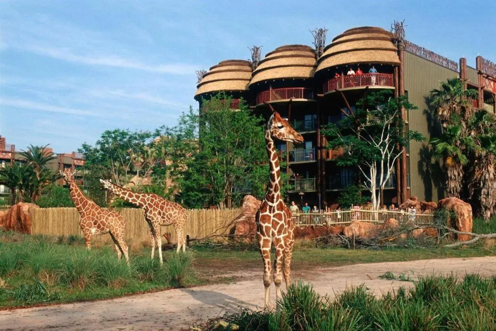 Disney's Animal Kingdom Lodge
