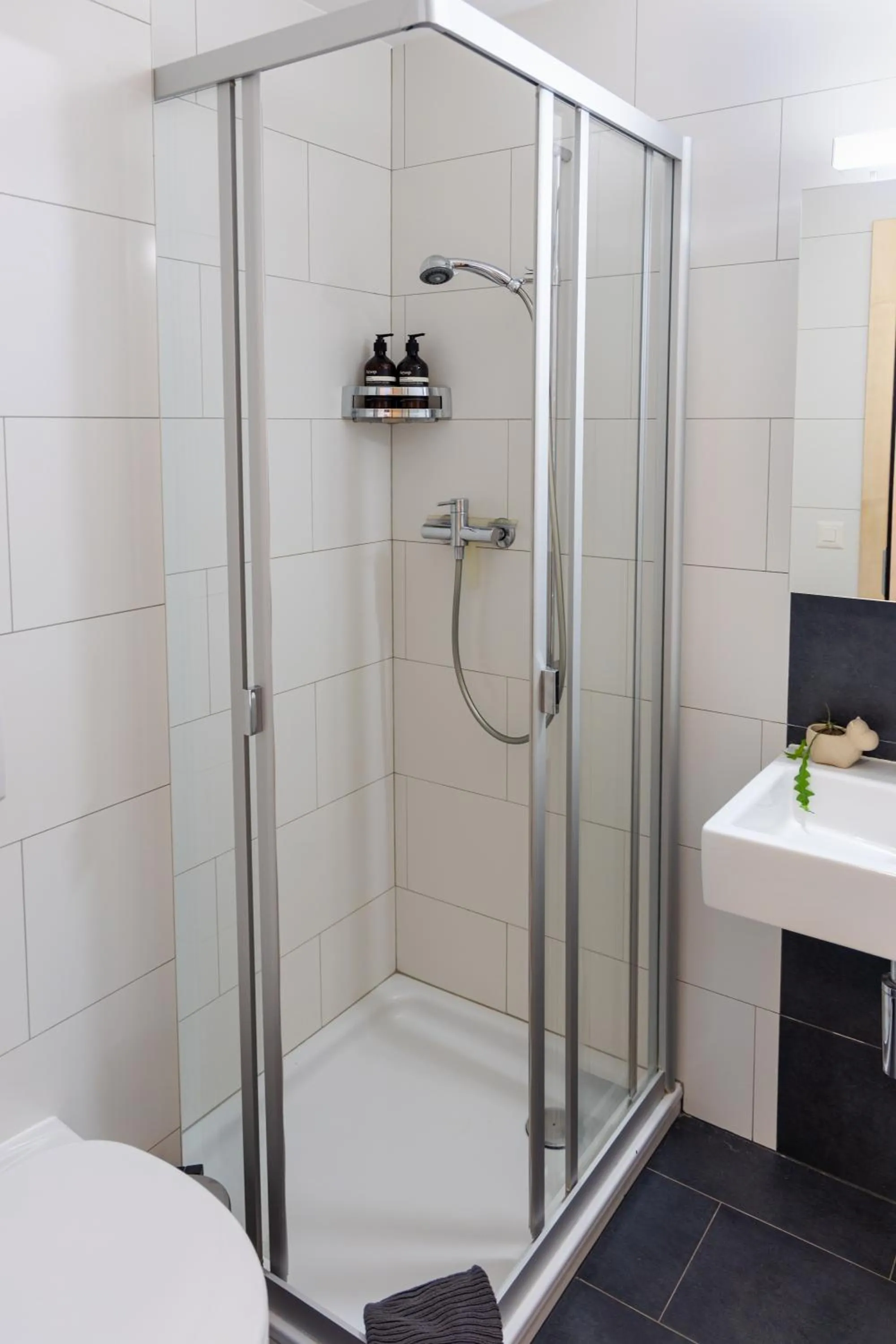 Bathroom in Anatas