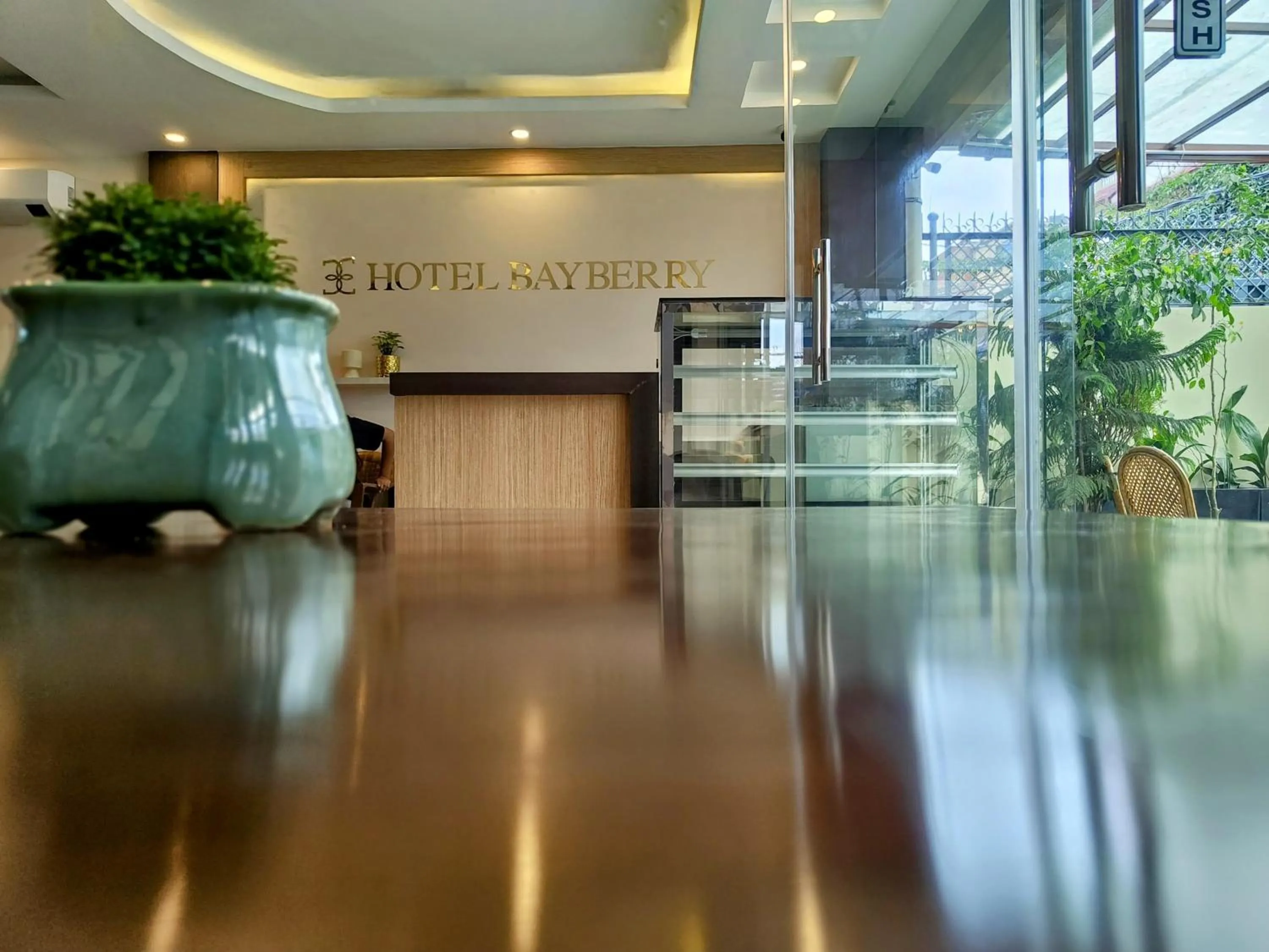 Lobby or reception in Hotel Bayberry Kathmandu - Near Tribhuvan International Airport