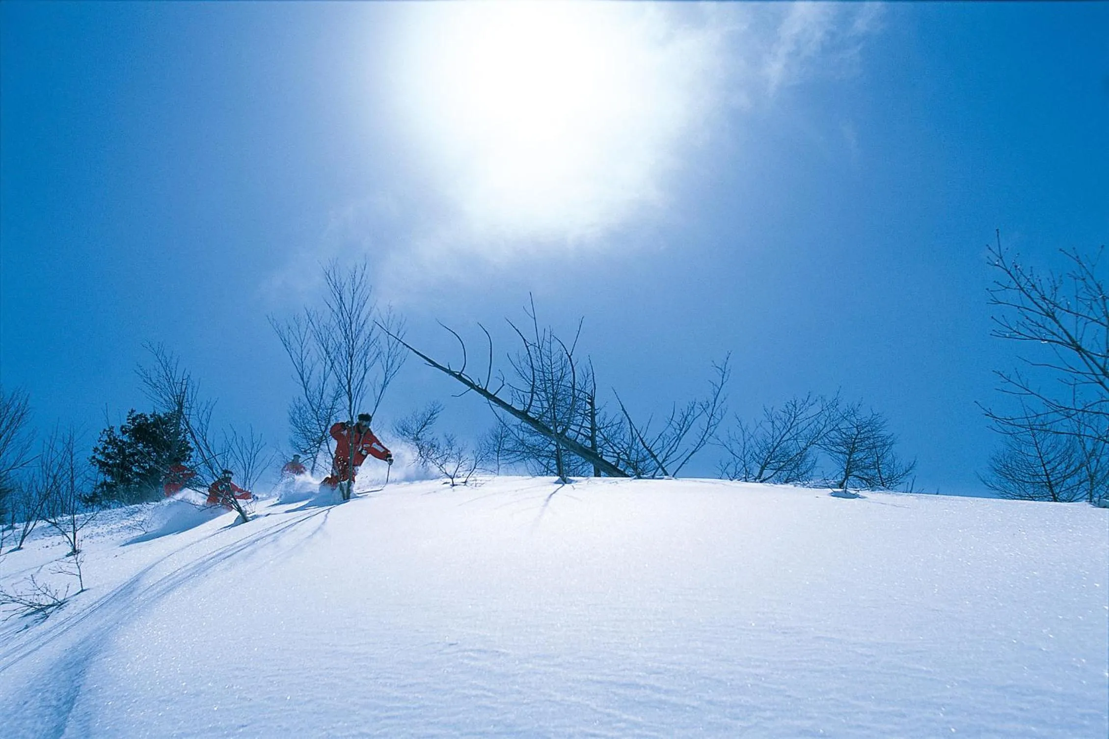 Skiing in Community House Tyrolien