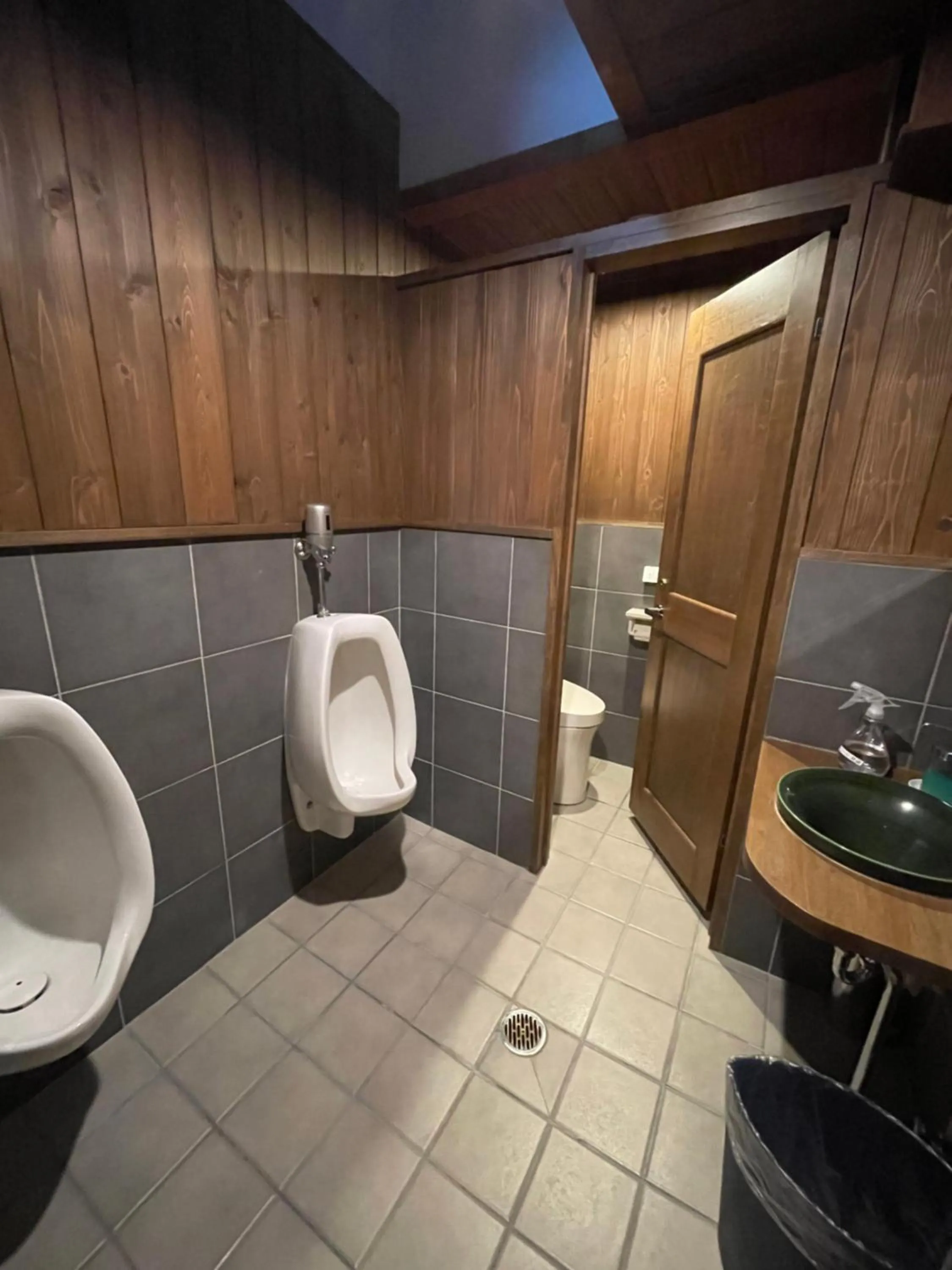 Toilet in Community House Tyrolien