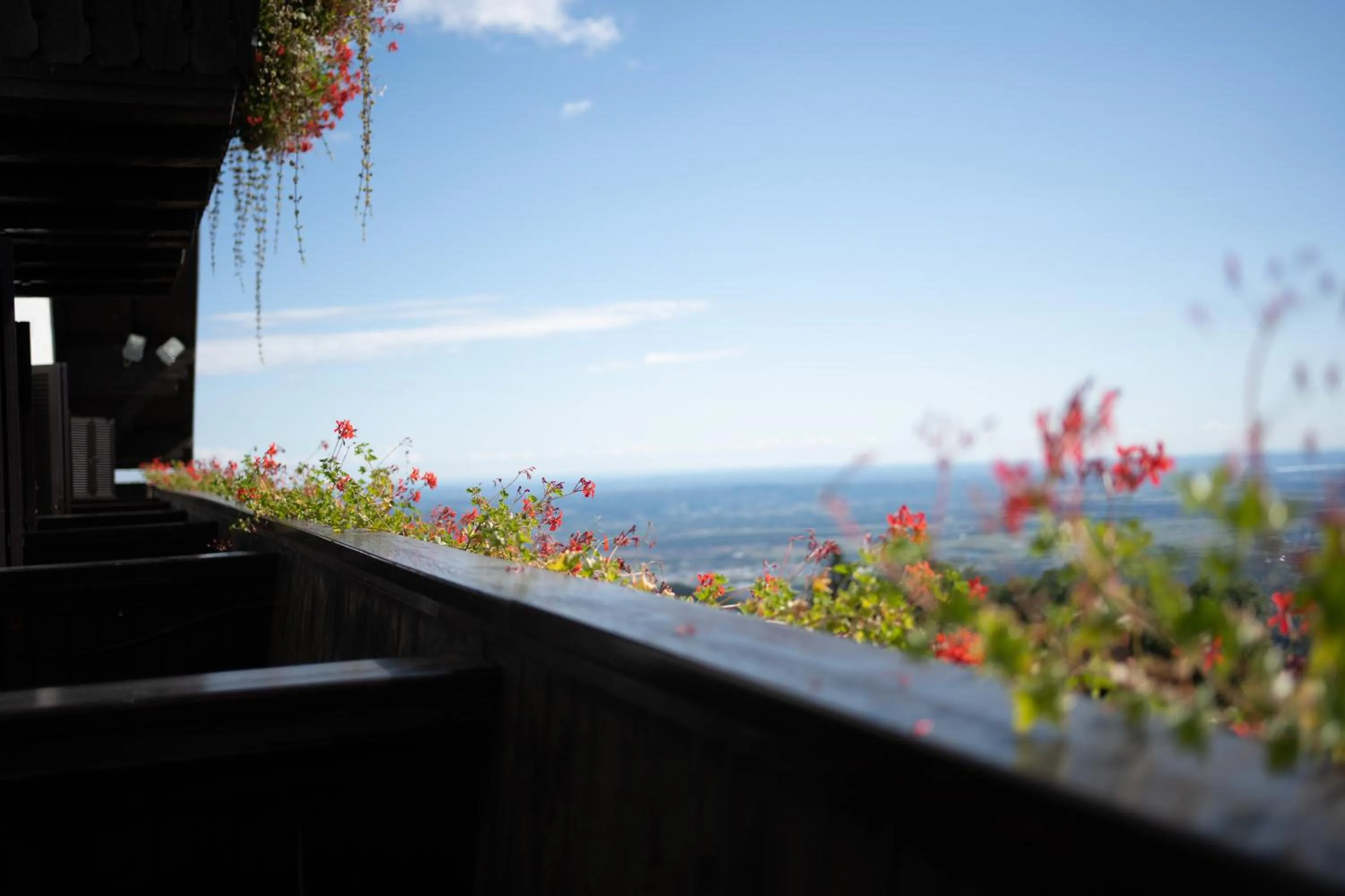 Day in Hotel Tisa Pohorje