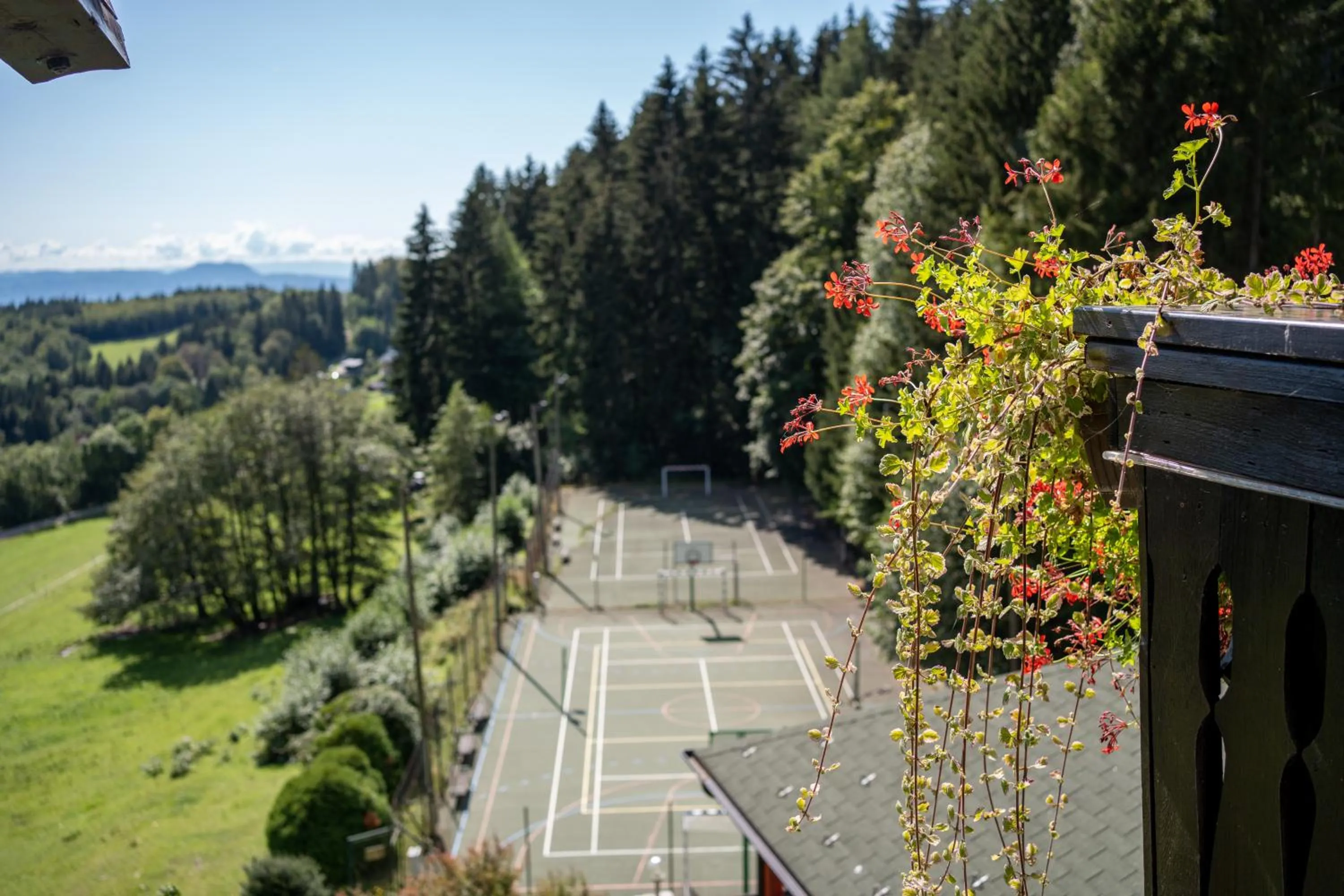Day in Hotel Tisa Pohorje