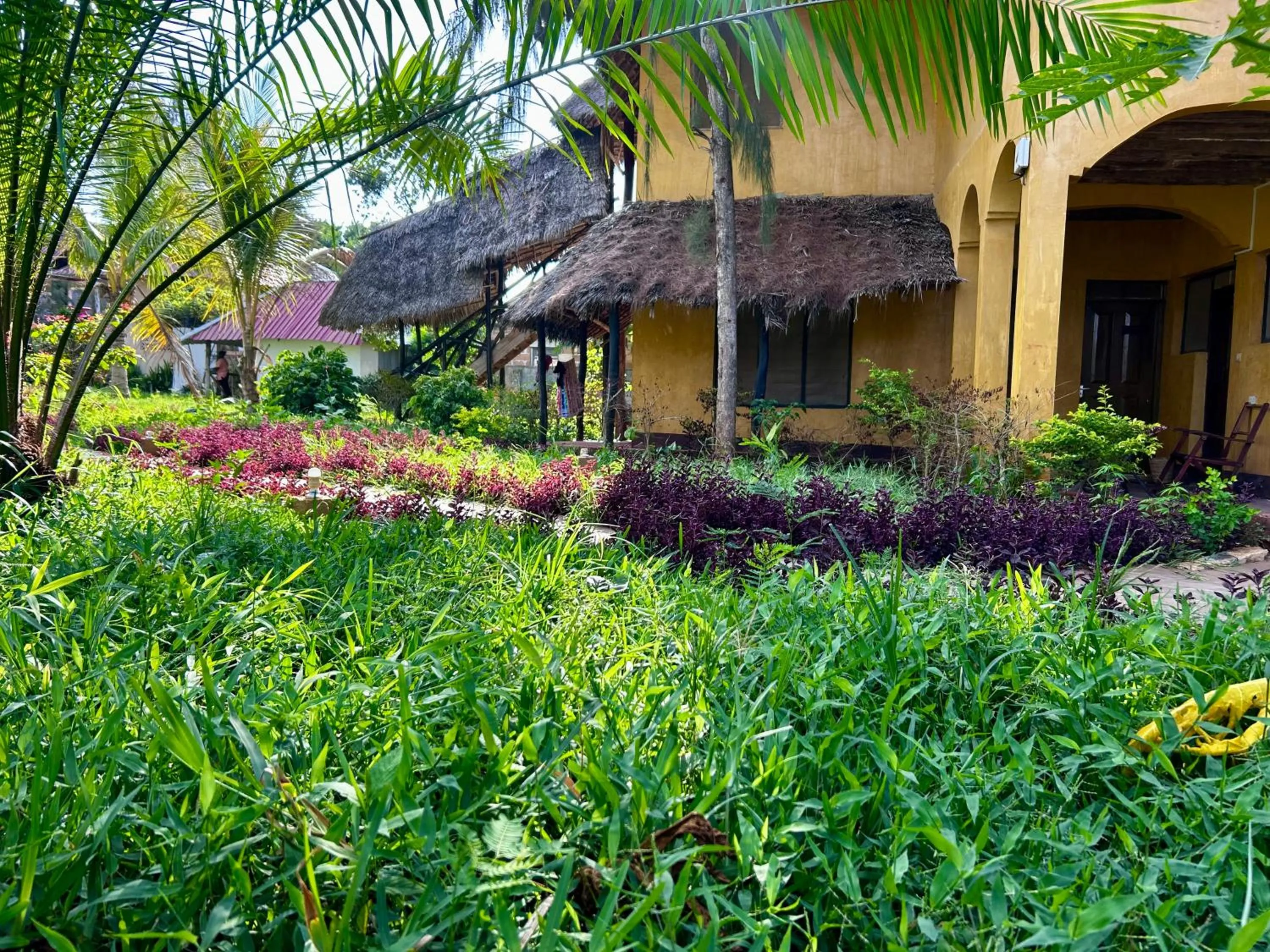 The Tropinest bungalow