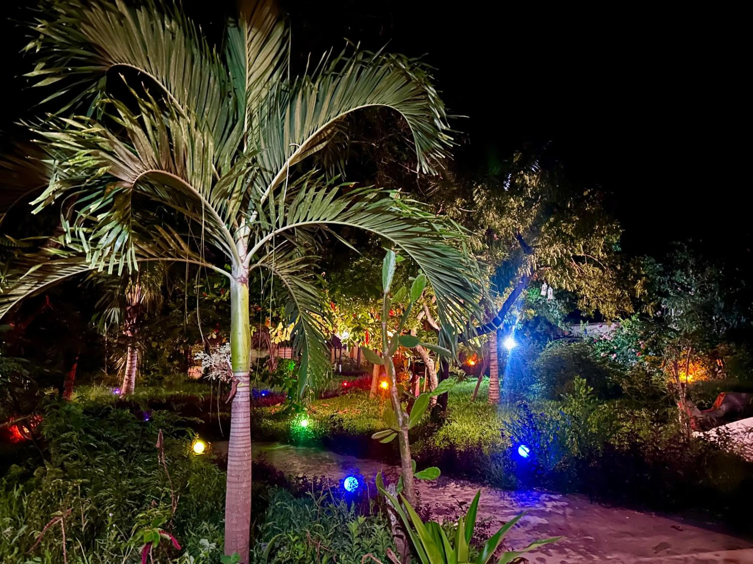 The Tropinest bungalow