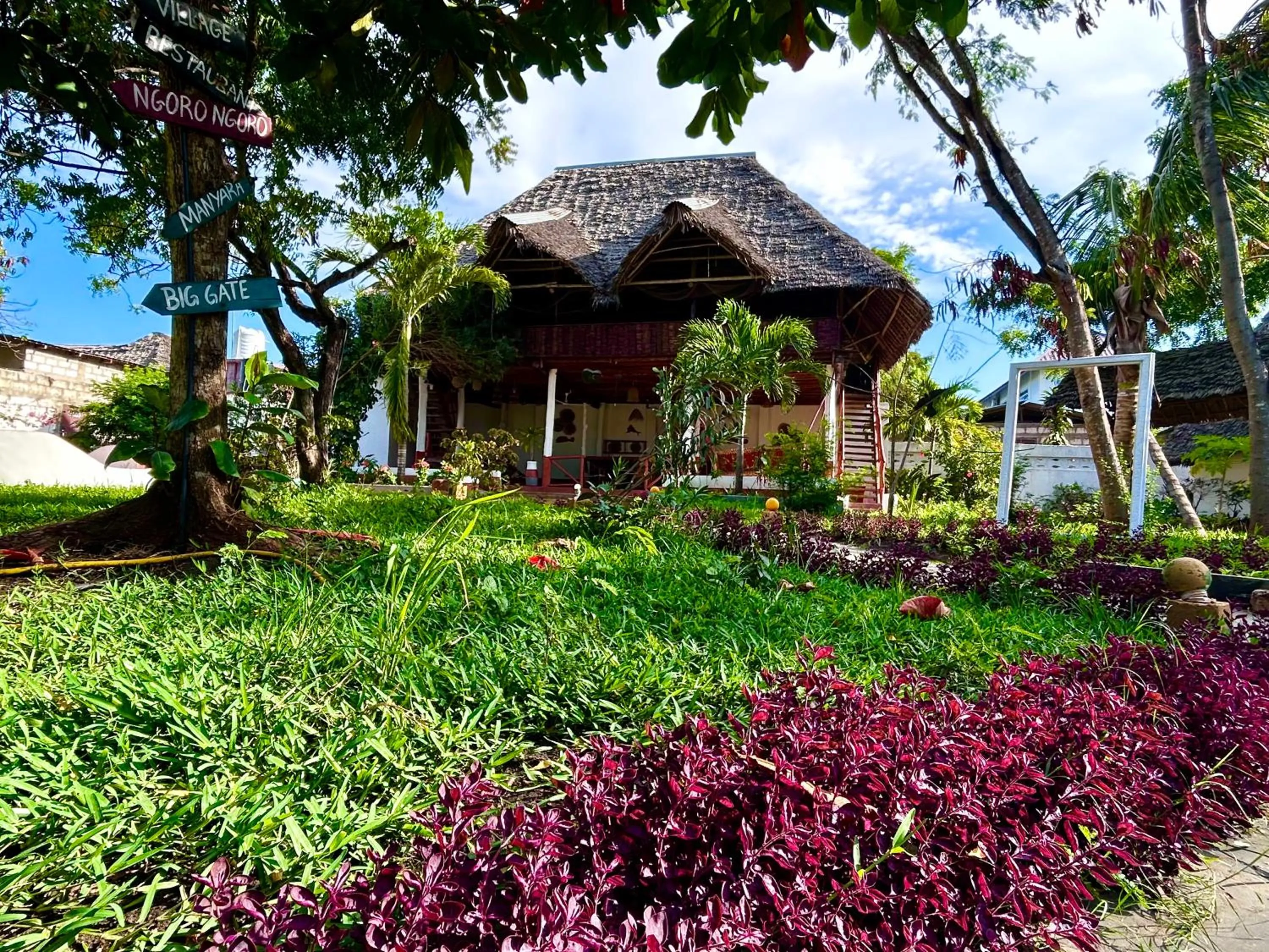 Garden view in The Tropinest bungalow