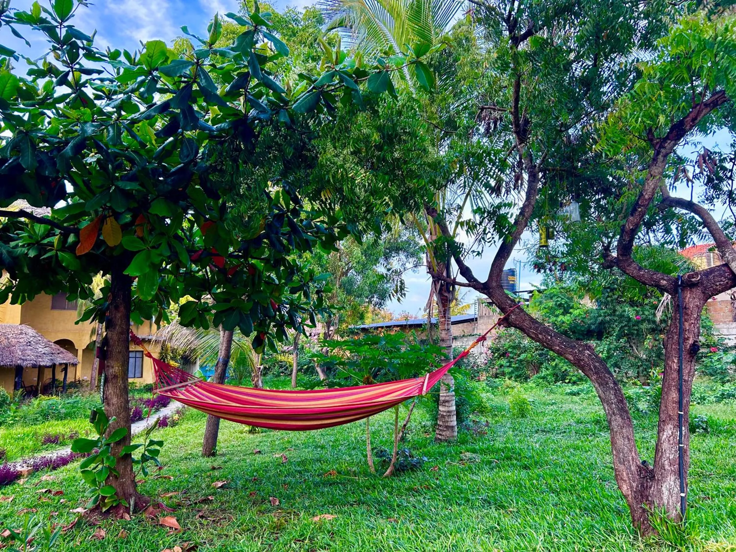 The Tropinest bungalow