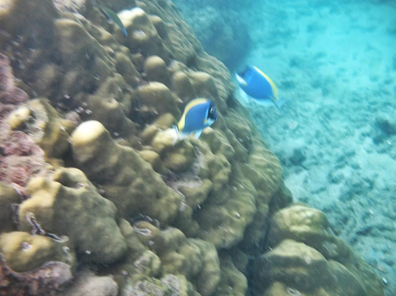 Giman Free Beach Resort Pasikuda