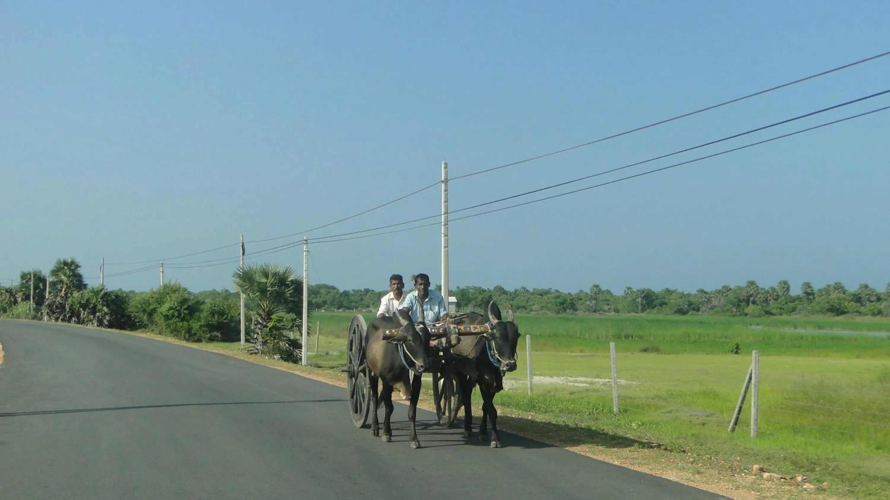 Off site in Giman Free Beach Resort Pasikuda