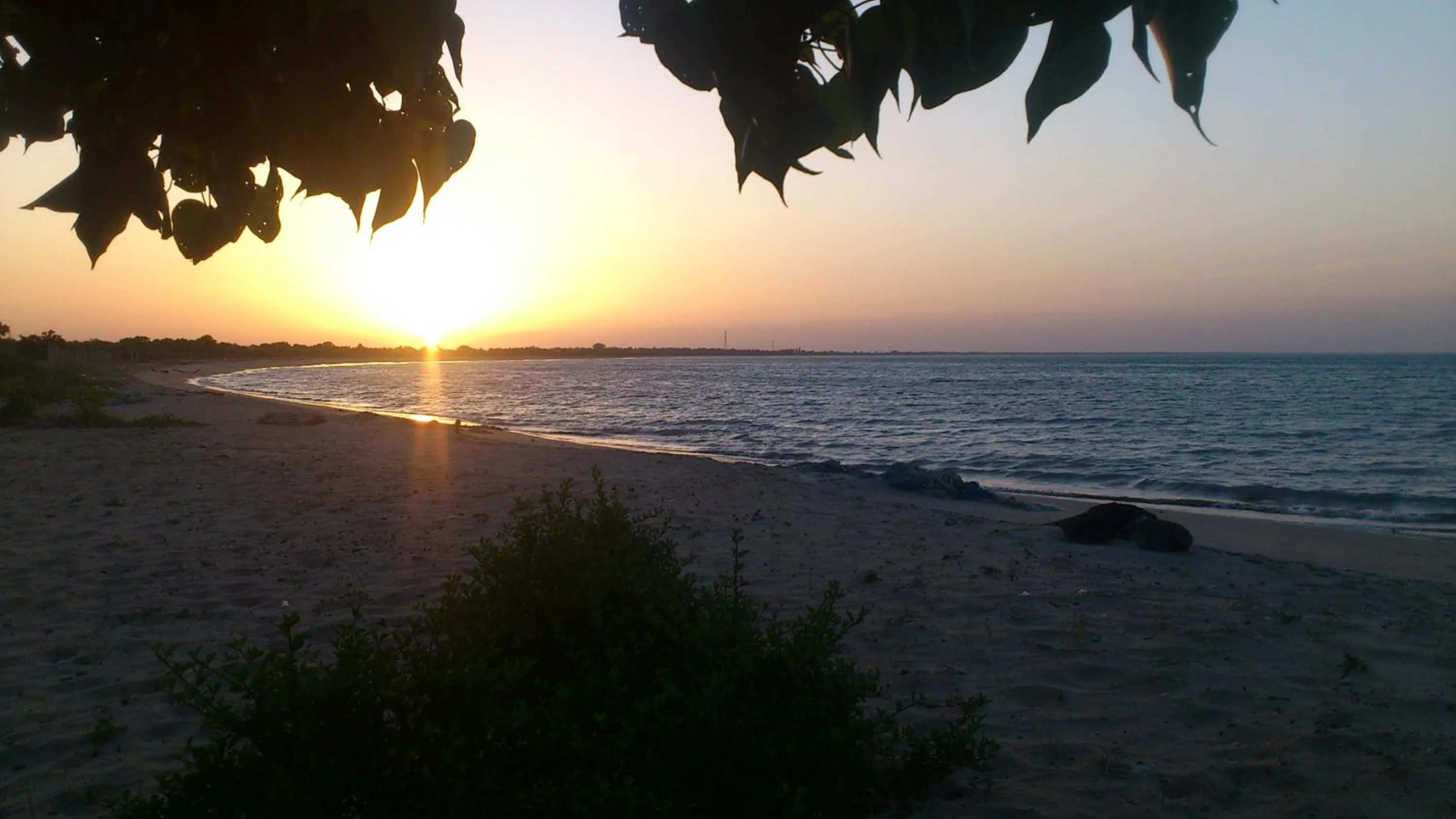 Beach in Giman Free Beach Resort Pasikuda