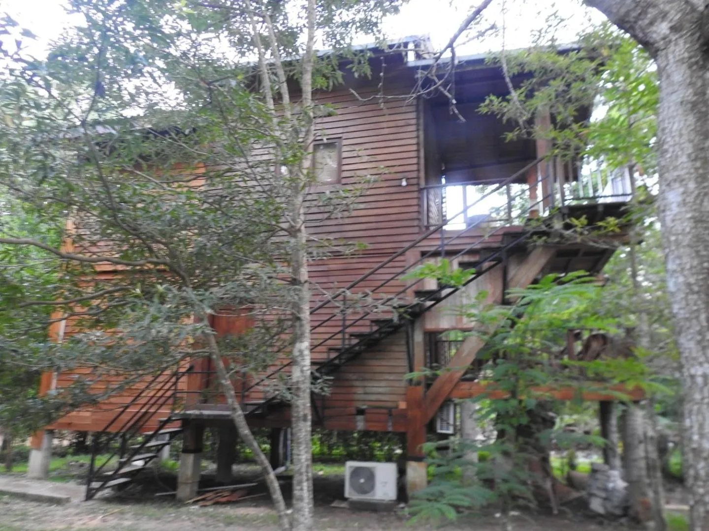 Property building in Wilpattu Tree House