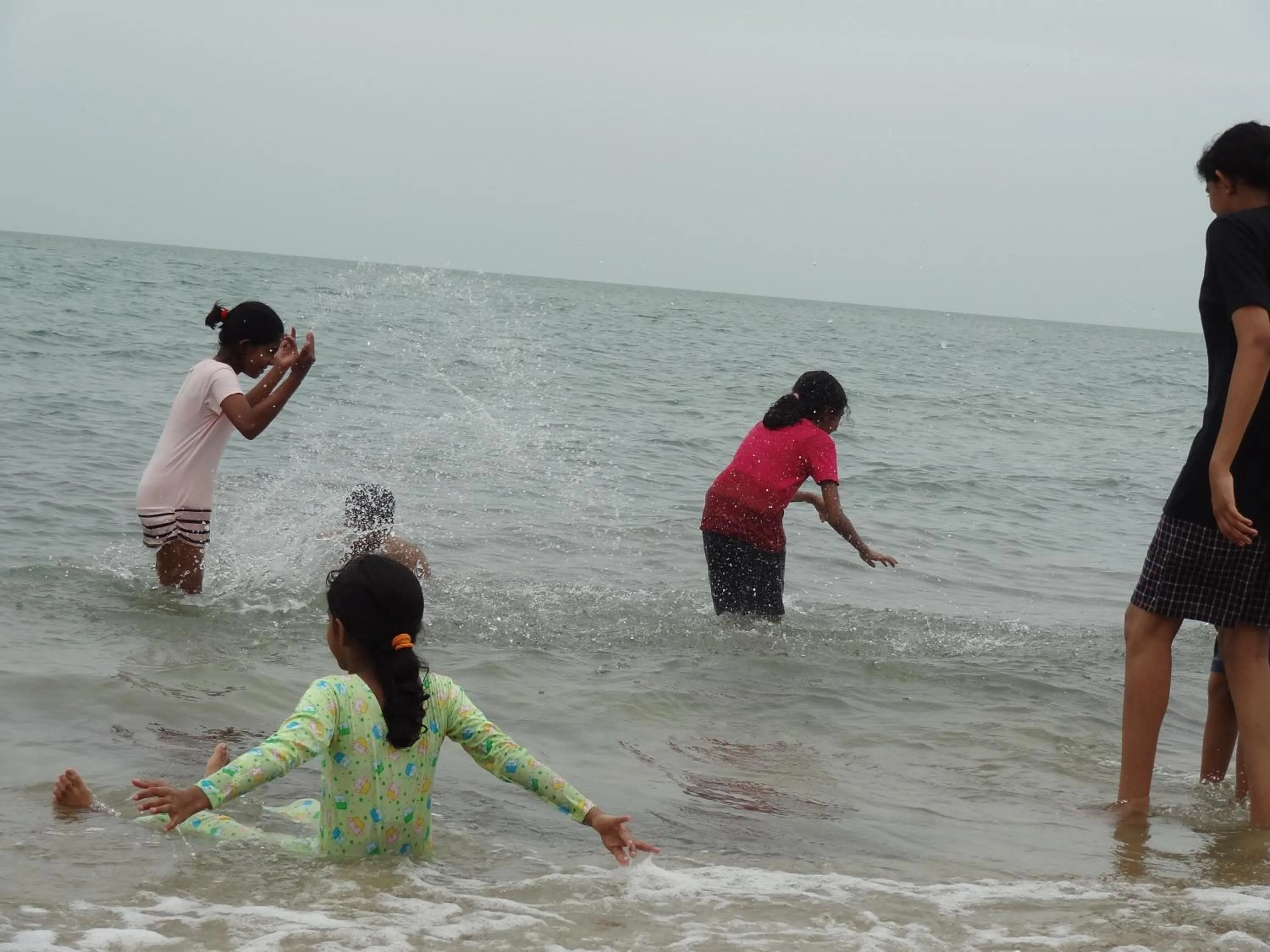 Area and facilities in Wilpattu Tree House