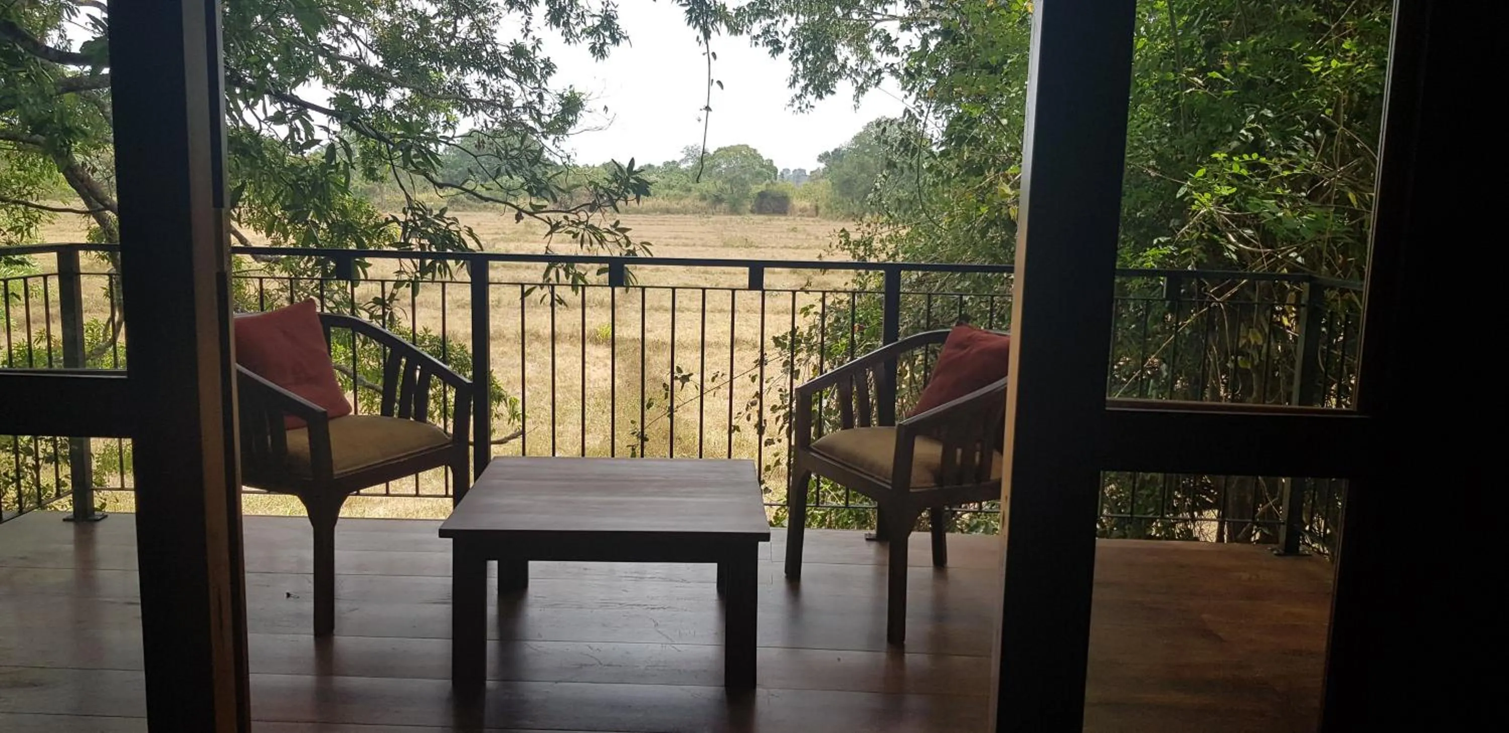 Balcony/Terrace in Wilpattu Tree House