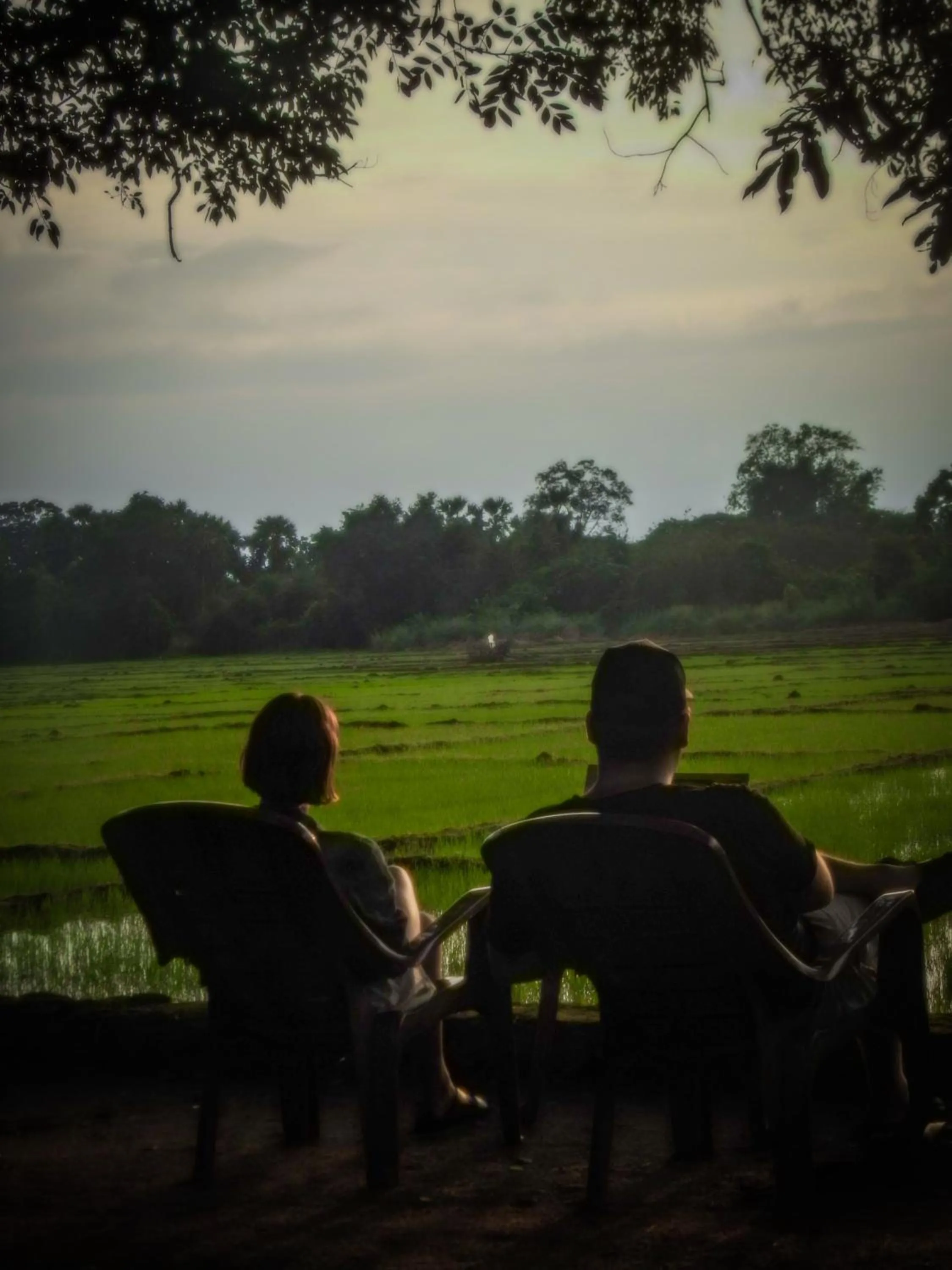 Natural landscape in Wilpattu Tree House