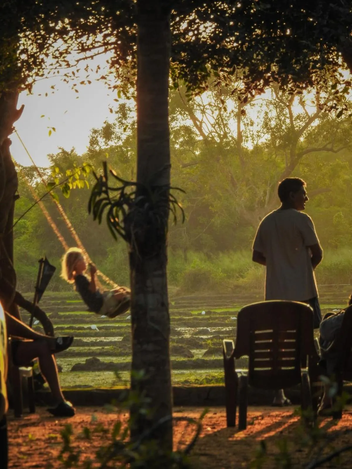 Natural landscape in Wilpattu Tree House