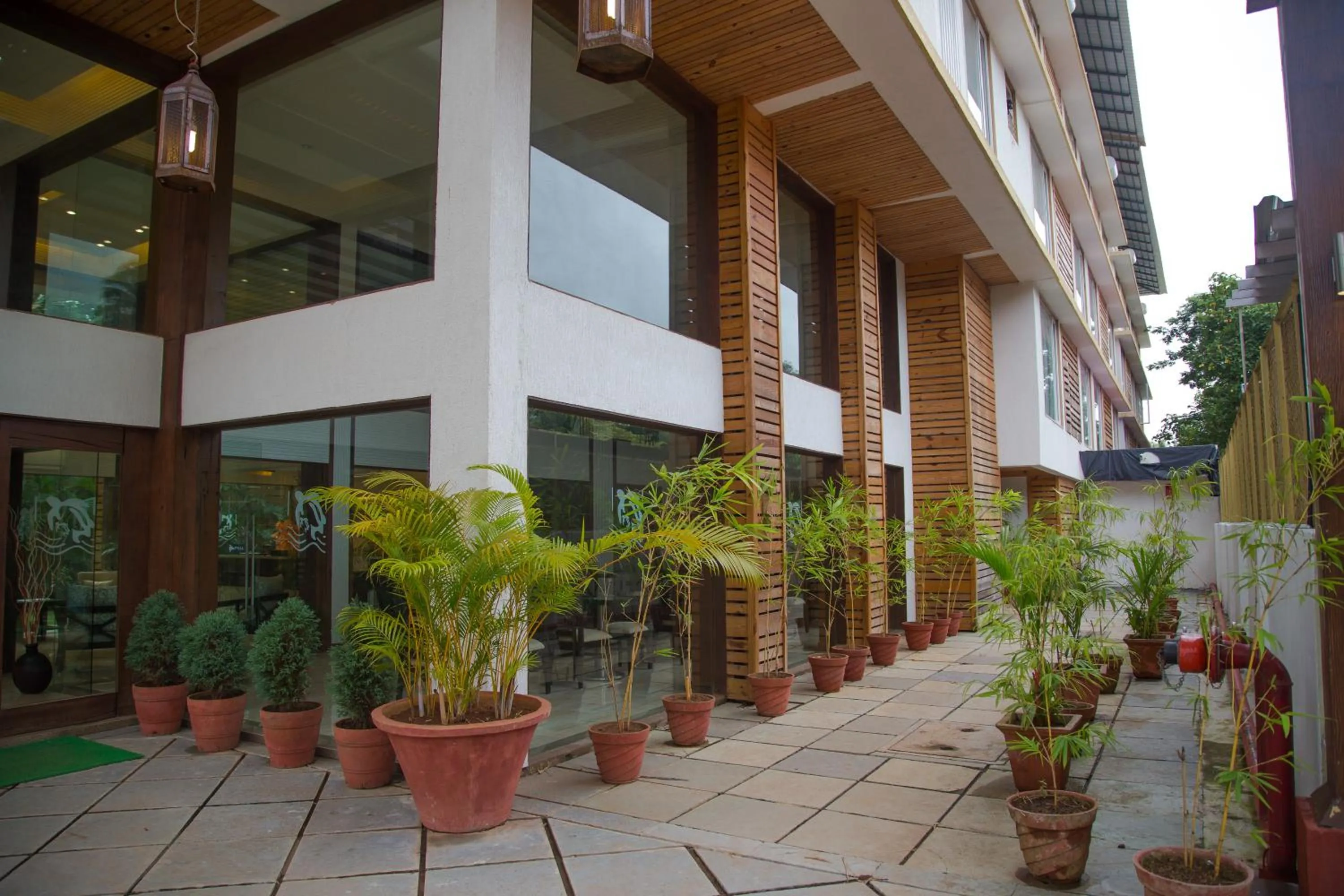 Area and facilities in Turtle Beach Resort - Morjim