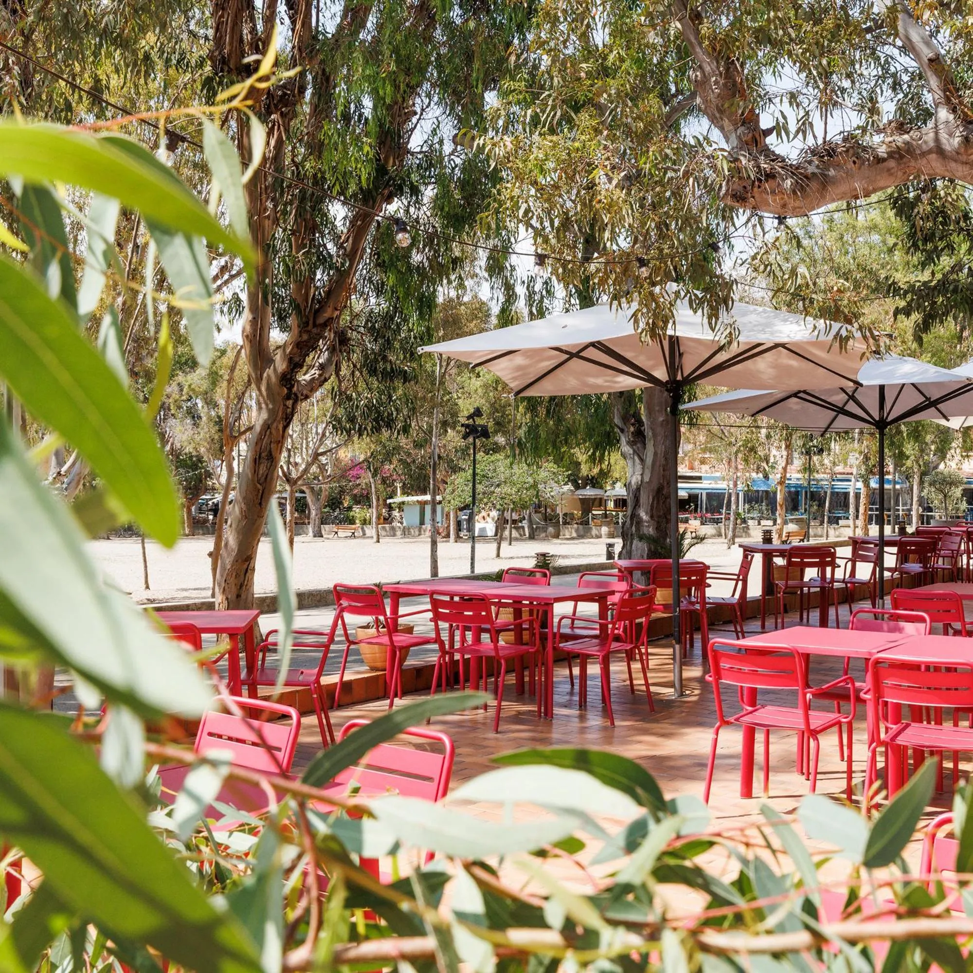 Balcony/Terrace in Villa Sainte Anne