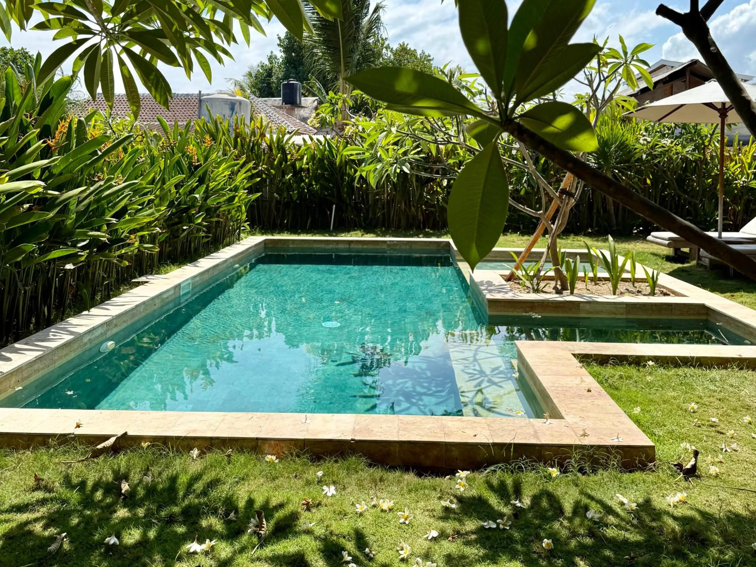 Garden view in Guava Garden