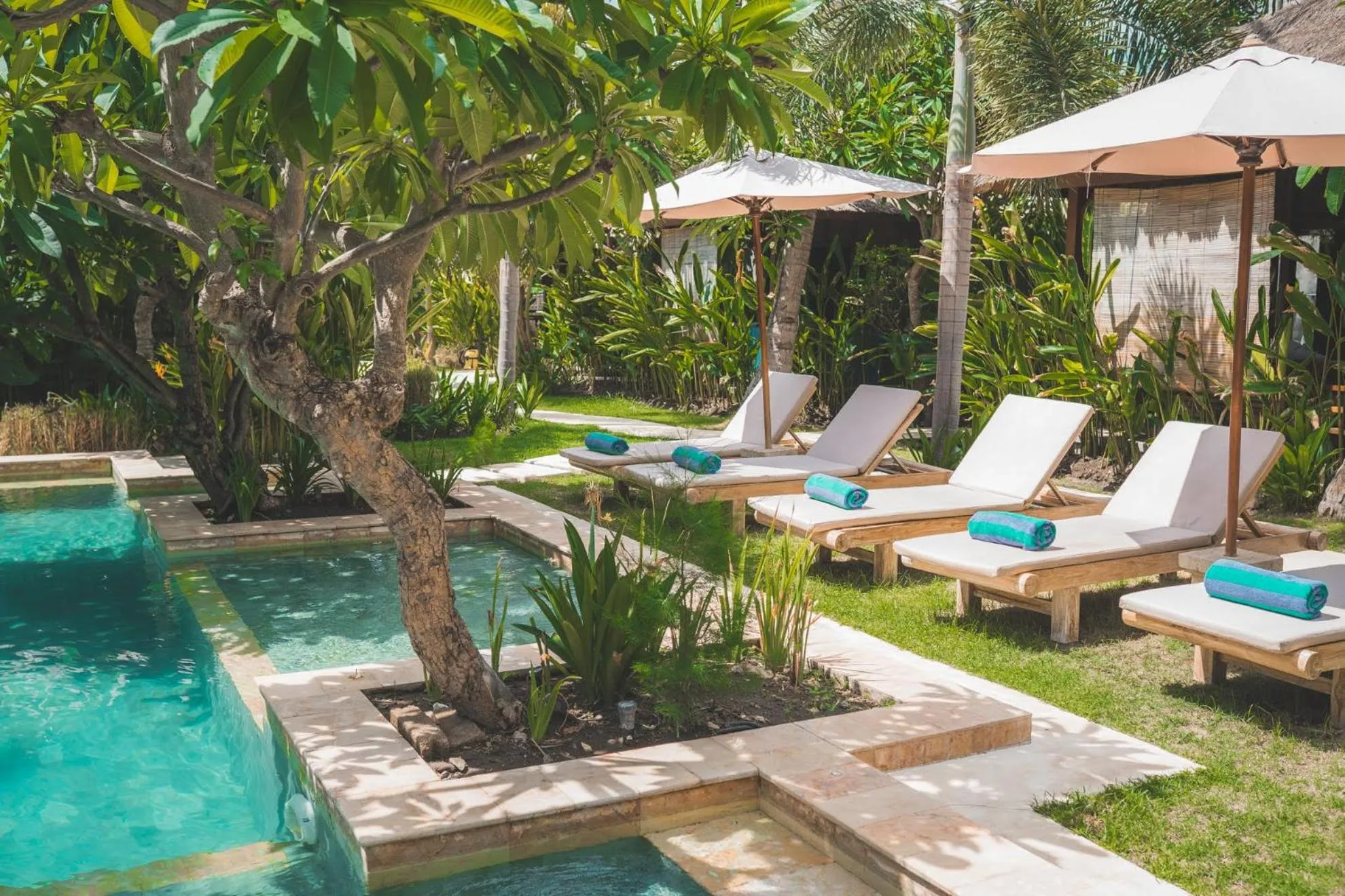 Swimming pool in Guava Garden