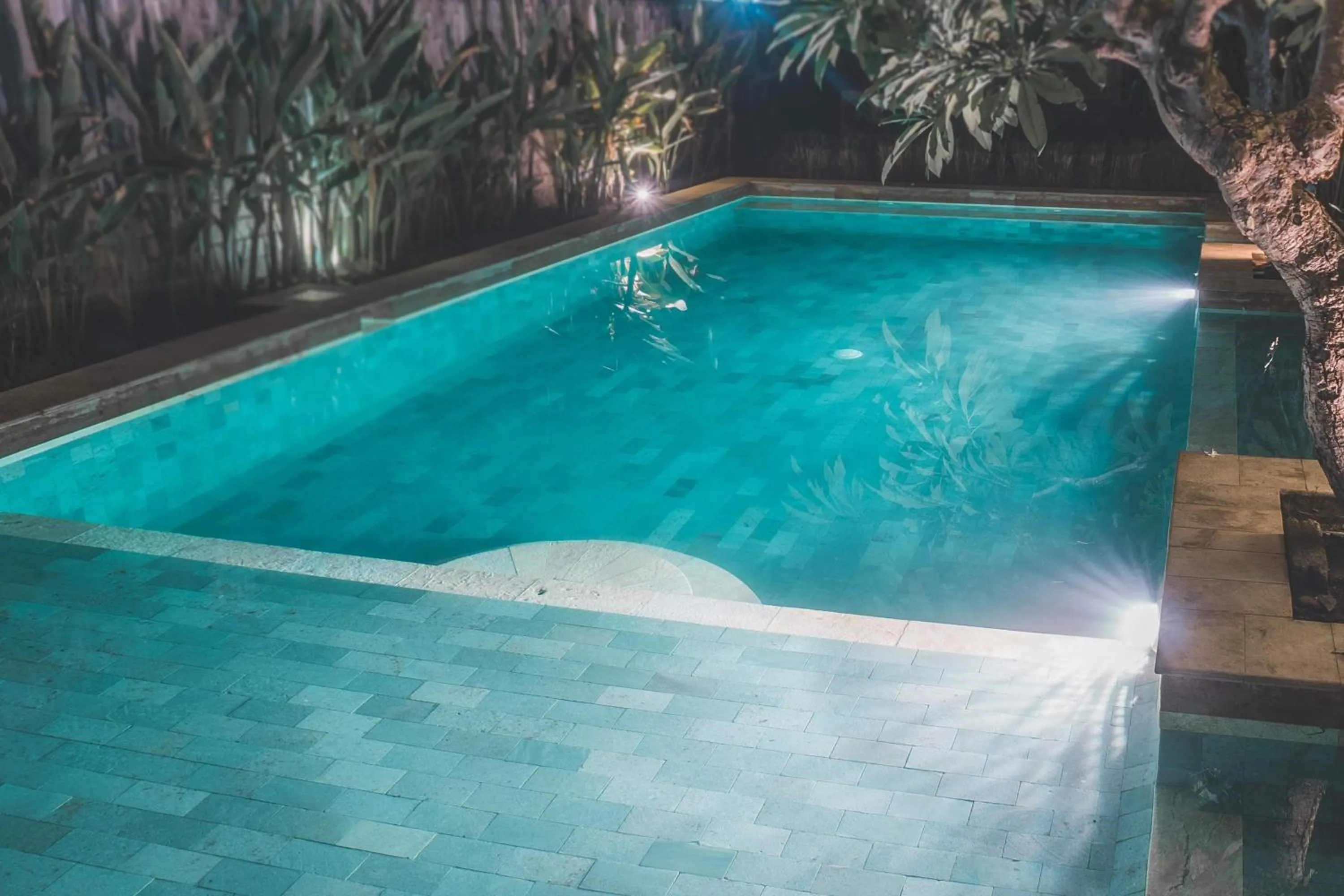 Night in Guava Garden