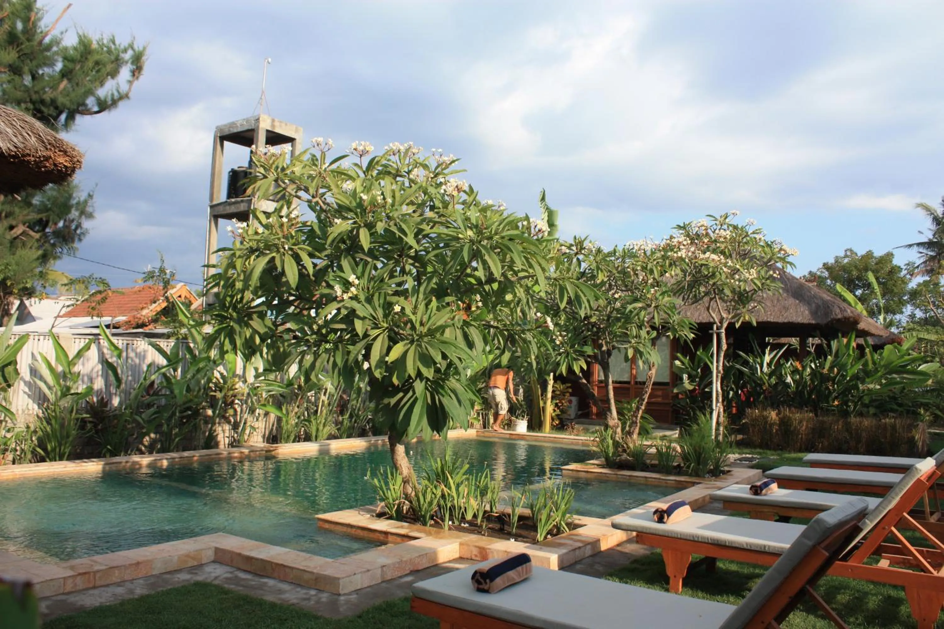 Garden in Guava Garden